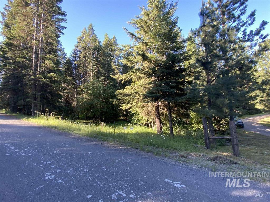 TBD Buckboard Lane, Waha, Idaho 83501, Land For Sale, Price $325,000, 98977302