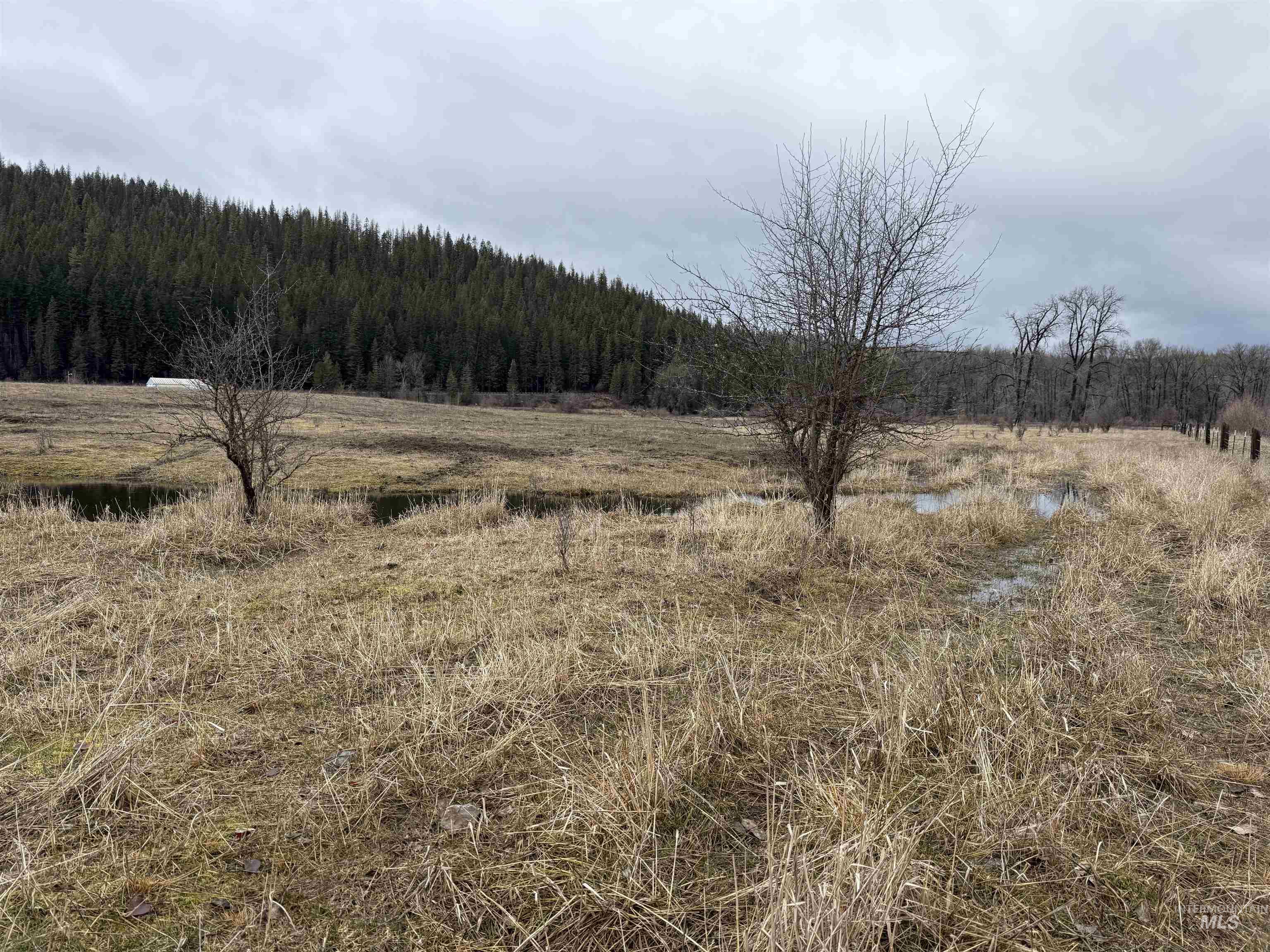 TBD Bare Land Parcel 2, Clarkia, Idaho 83812, Land For Sale, Price $190,000, 98977345