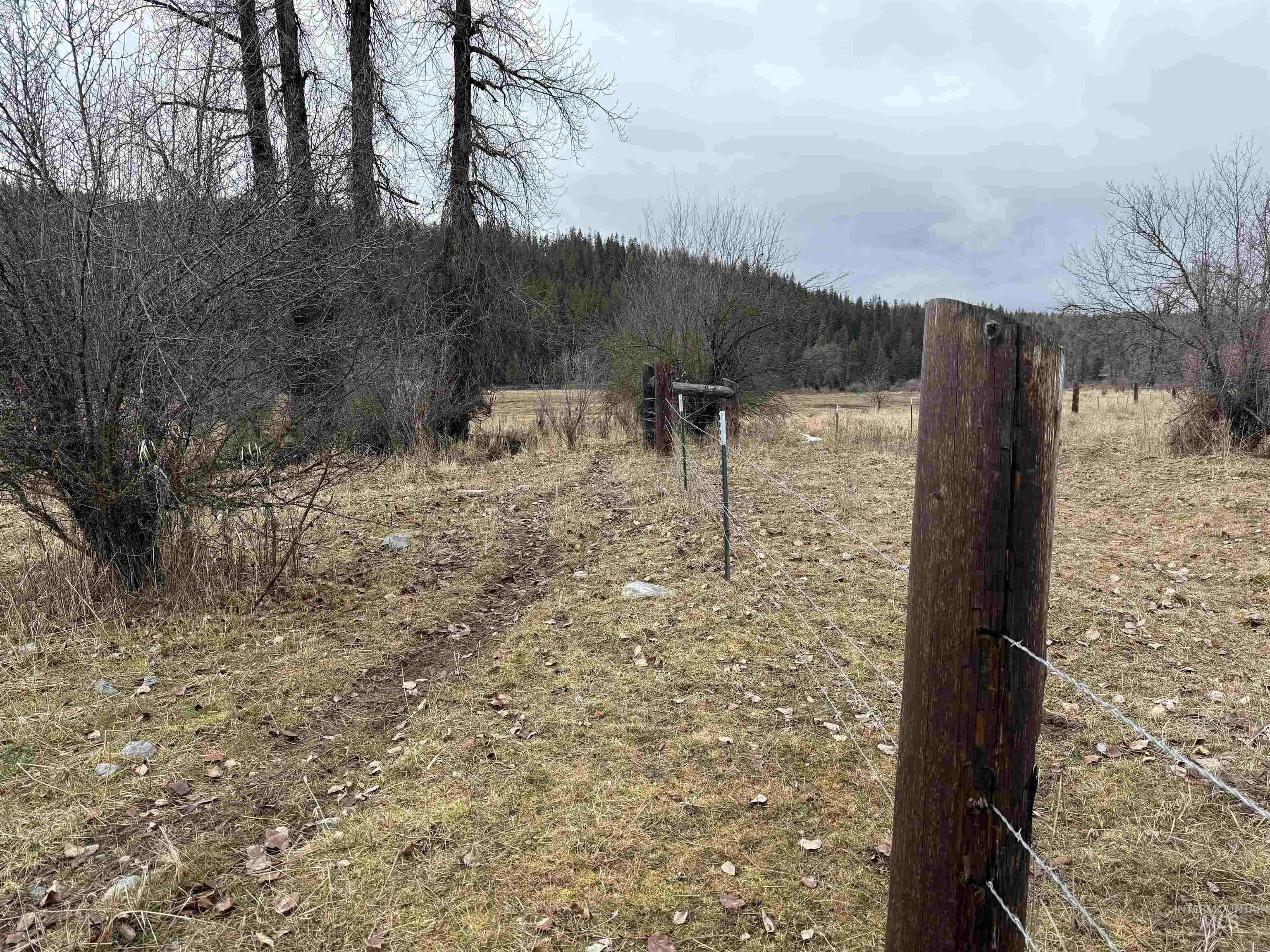 TBD Bare Land Parcel 2, Clarkia, Idaho 83812, Land For Sale, Price $190,000, 98977345