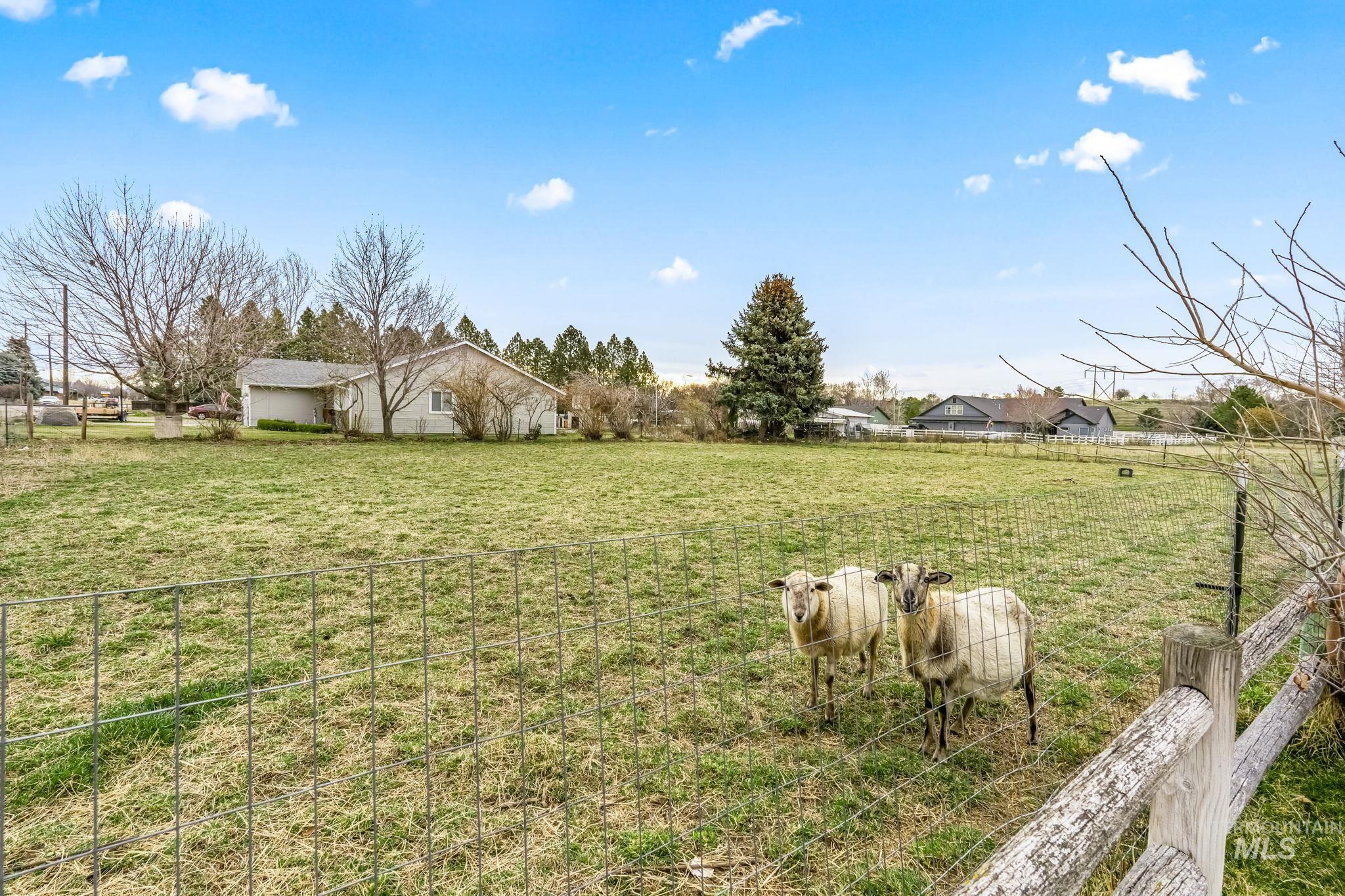 7119 Birch Lane, Nampa, Idaho 83687, 4 Bedrooms, 3 Bathrooms, Residential For Sale, Price $985,000, 98977354