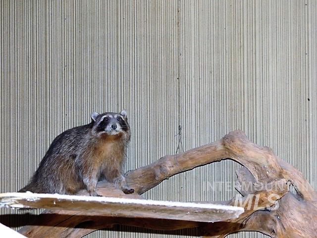 918 Middlefork Rd., Garden Valley, Idaho 83622, 2 Bedrooms, 1 Bathroom, Residential For Sale, Price $325,000,MLS 98977357