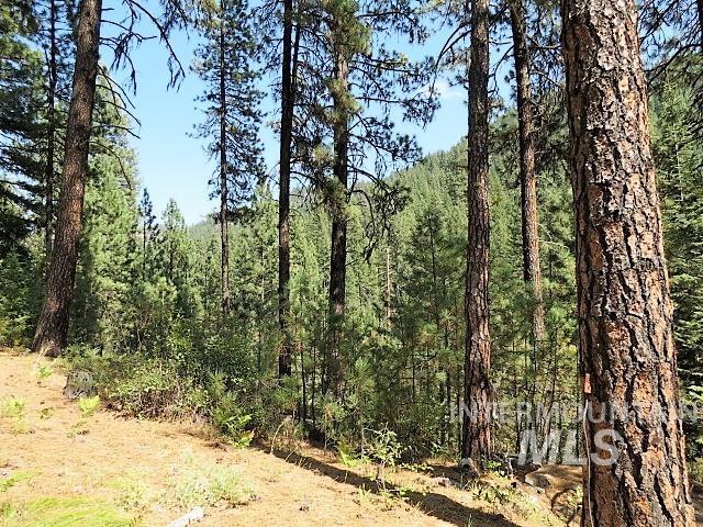 918 Middlefork Rd., Garden Valley, Idaho 83622, 2 Bedrooms, 1 Bathroom, Residential For Sale, Price $325,000,MLS 98977357