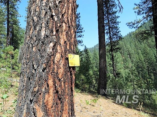 918 Middlefork Rd., Garden Valley, Idaho 83622, 2 Bedrooms, 1 Bathroom, Residential For Sale, Price $325,000,MLS 98977357