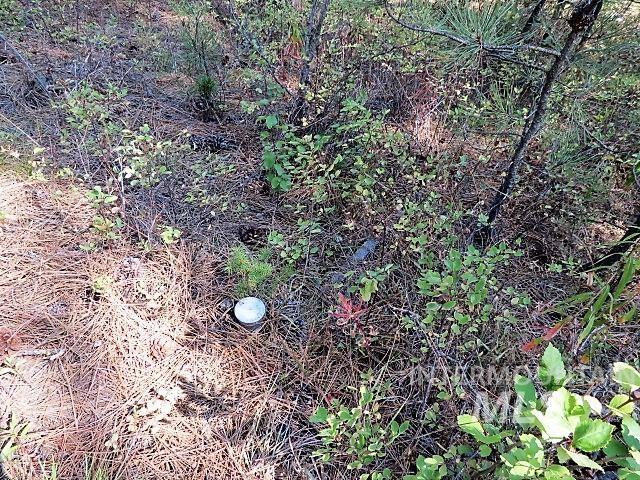 918 Middlefork Rd., Garden Valley, Idaho 83622, 2 Bedrooms, 1 Bathroom, Residential For Sale, Price $325,000,MLS 98977357