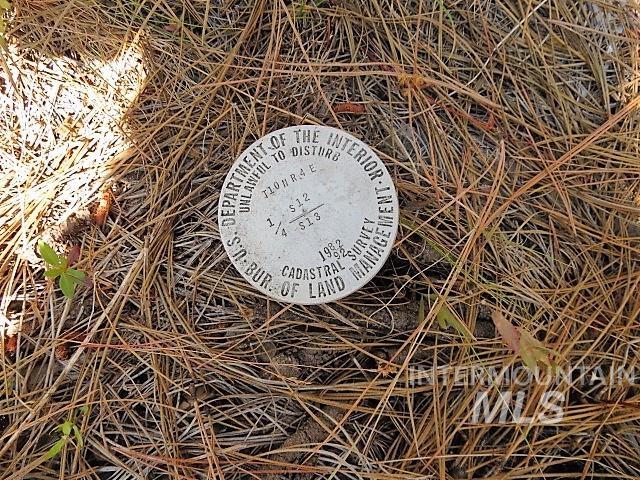 918 Middlefork Rd., Garden Valley, Idaho 83622, 2 Bedrooms, 1 Bathroom, Residential For Sale, Price $325,000,MLS 98977357