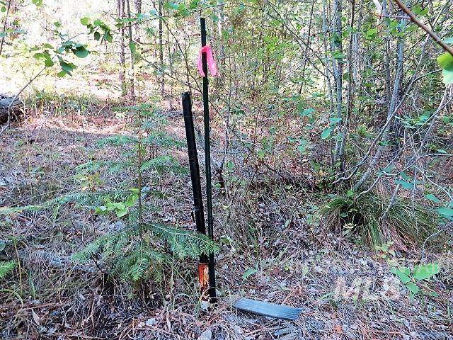 918 Middlefork Rd., Garden Valley, Idaho 83622, 2 Bedrooms, 1 Bathroom, Residential For Sale, Price $325,000,MLS 98977357