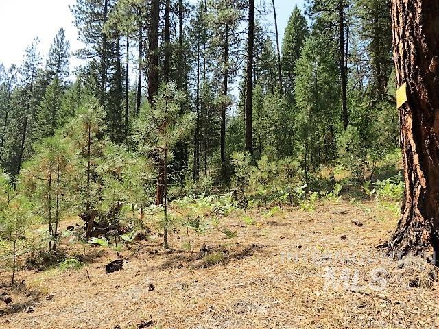 918 Middlefork Rd., Garden Valley, Idaho 83622, 2 Bedrooms, 1 Bathroom, Residential For Sale, Price $325,000,MLS 98977357