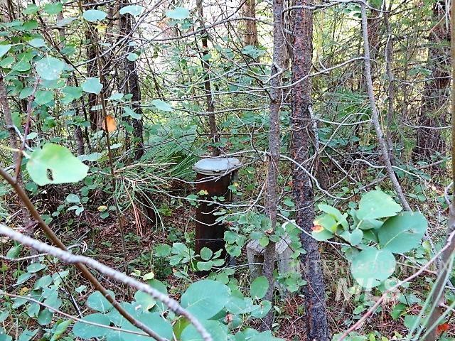 918 Middlefork Rd., Garden Valley, Idaho 83622, 2 Bedrooms, 1 Bathroom, Residential For Sale, Price $325,000,MLS 98977357