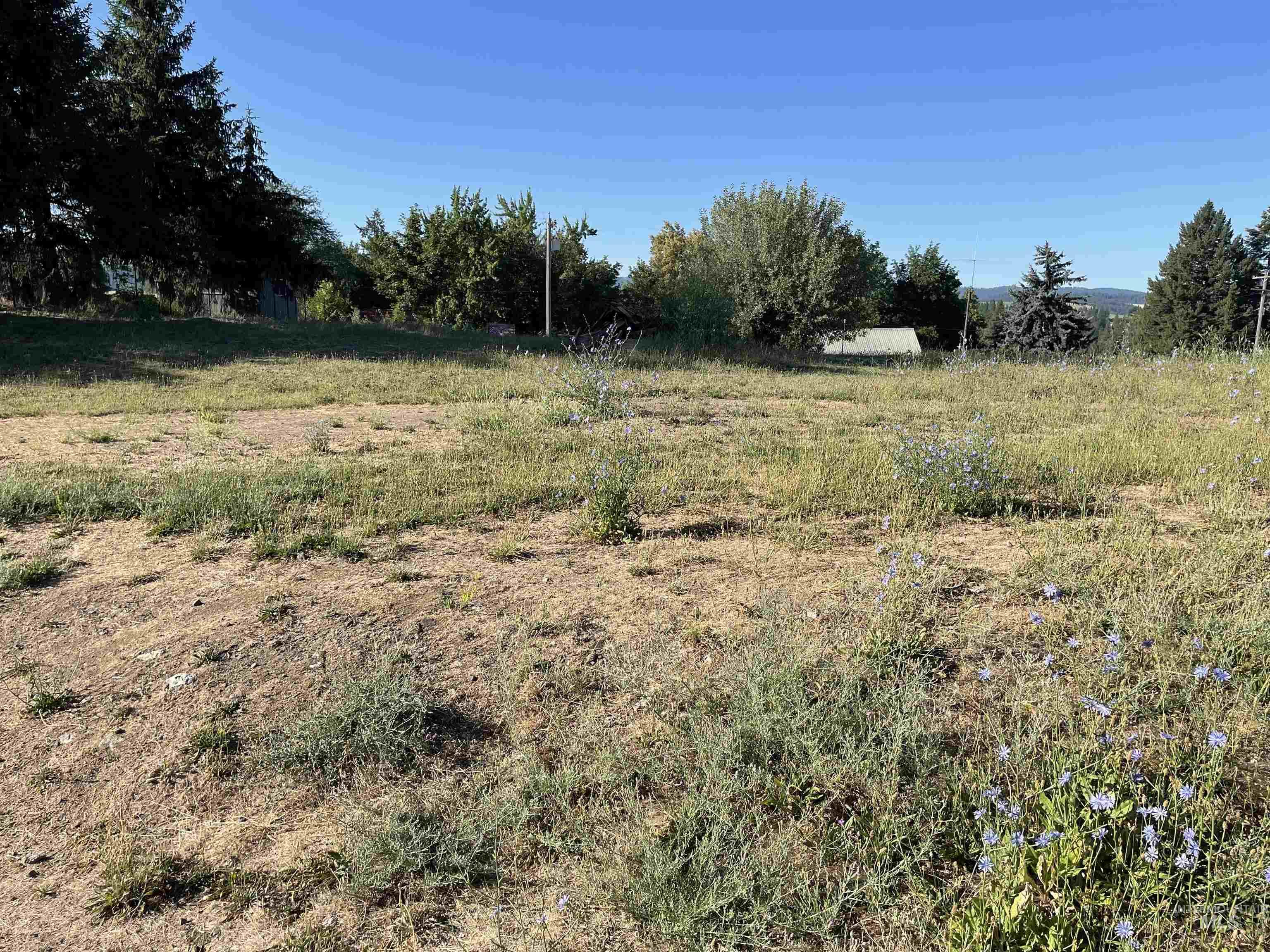 875 N Ponderosa Drive Lot 3, Potlatch, Idaho 83855, Land For Sale, Price $80,000,MLS 98977388