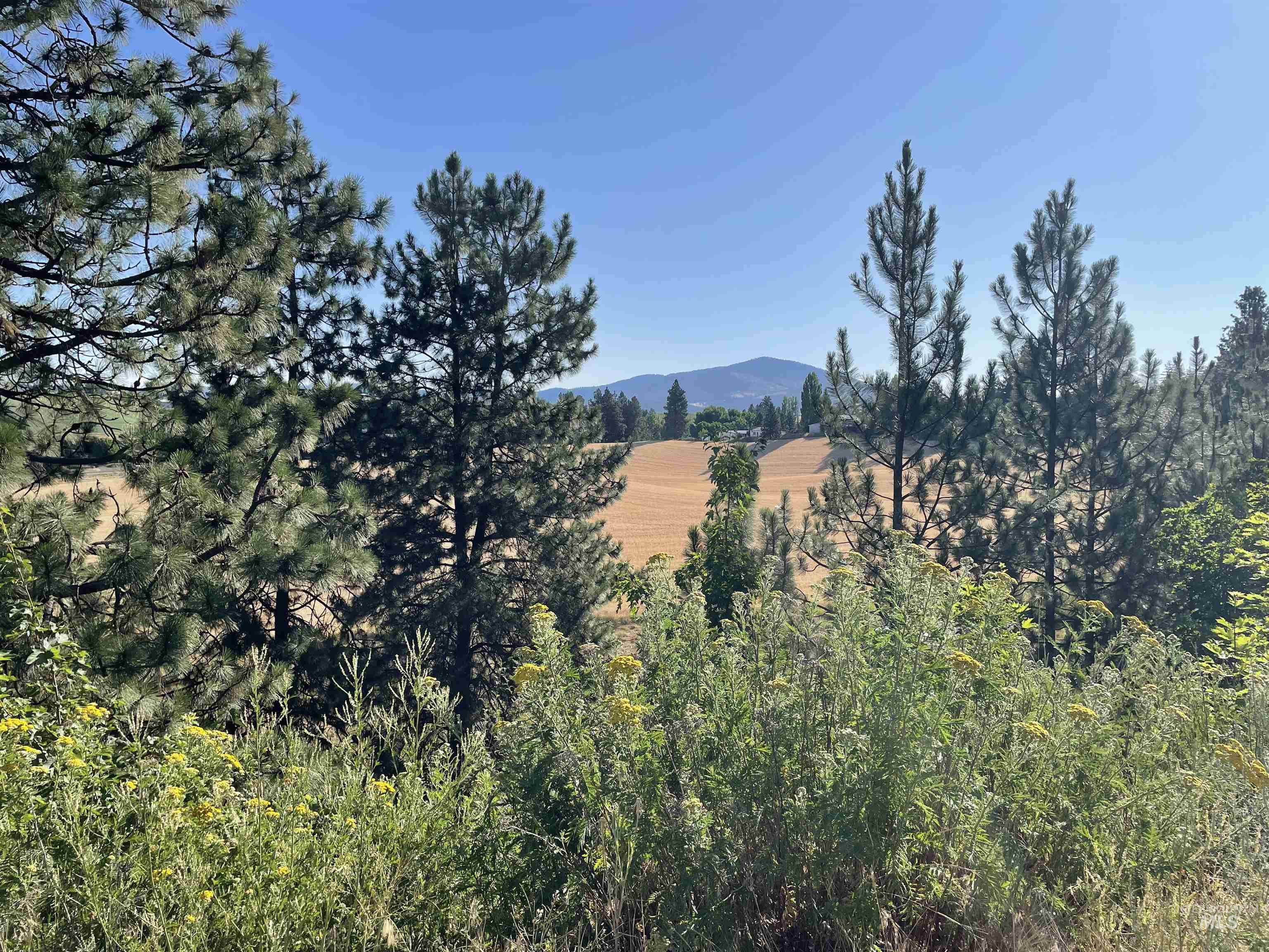875 N Ponderosa Drive Lot 3, Potlatch, Idaho 83855, Land For Sale, Price $80,000,MLS 98977388