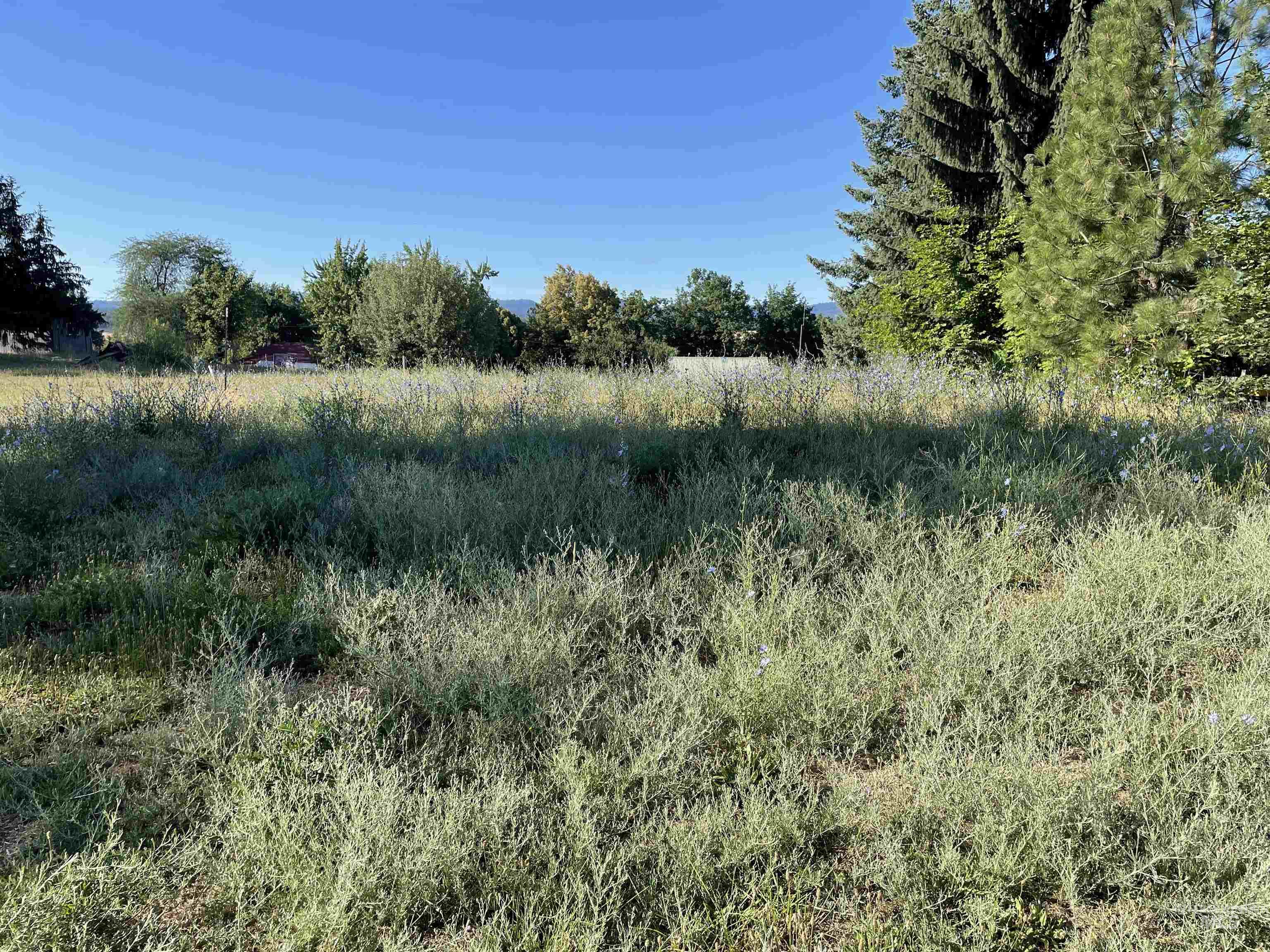 875 N Ponderosa Drive Lot 3, Potlatch, Idaho 83855, Land For Sale, Price $80,000,MLS 98977388