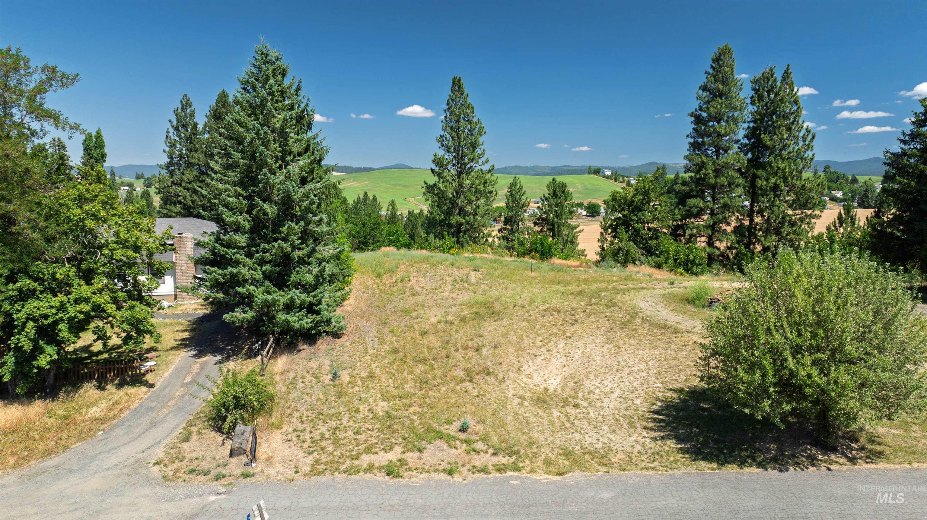 875 N Ponderosa Drive Lot 3, Potlatch, Idaho 83855, Land For Sale, Price $80,000,MLS 98977388