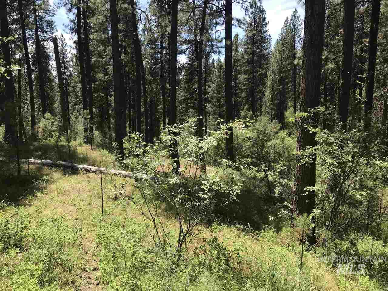 Lot 2 Card Creek, Casey Estates#3, Garden Valley, Idaho 83622, Land For Sale, Price $294,000, 98977405
