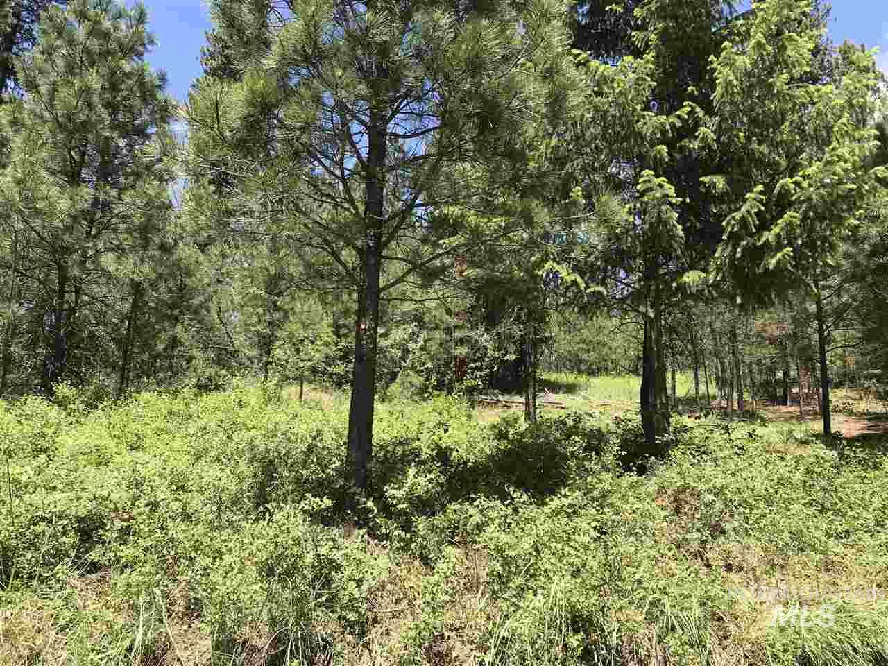 Lot 2 Card Creek, Casey Estates#3, Garden Valley, Idaho 83622, Land For Sale, Price $294,000, 98977405