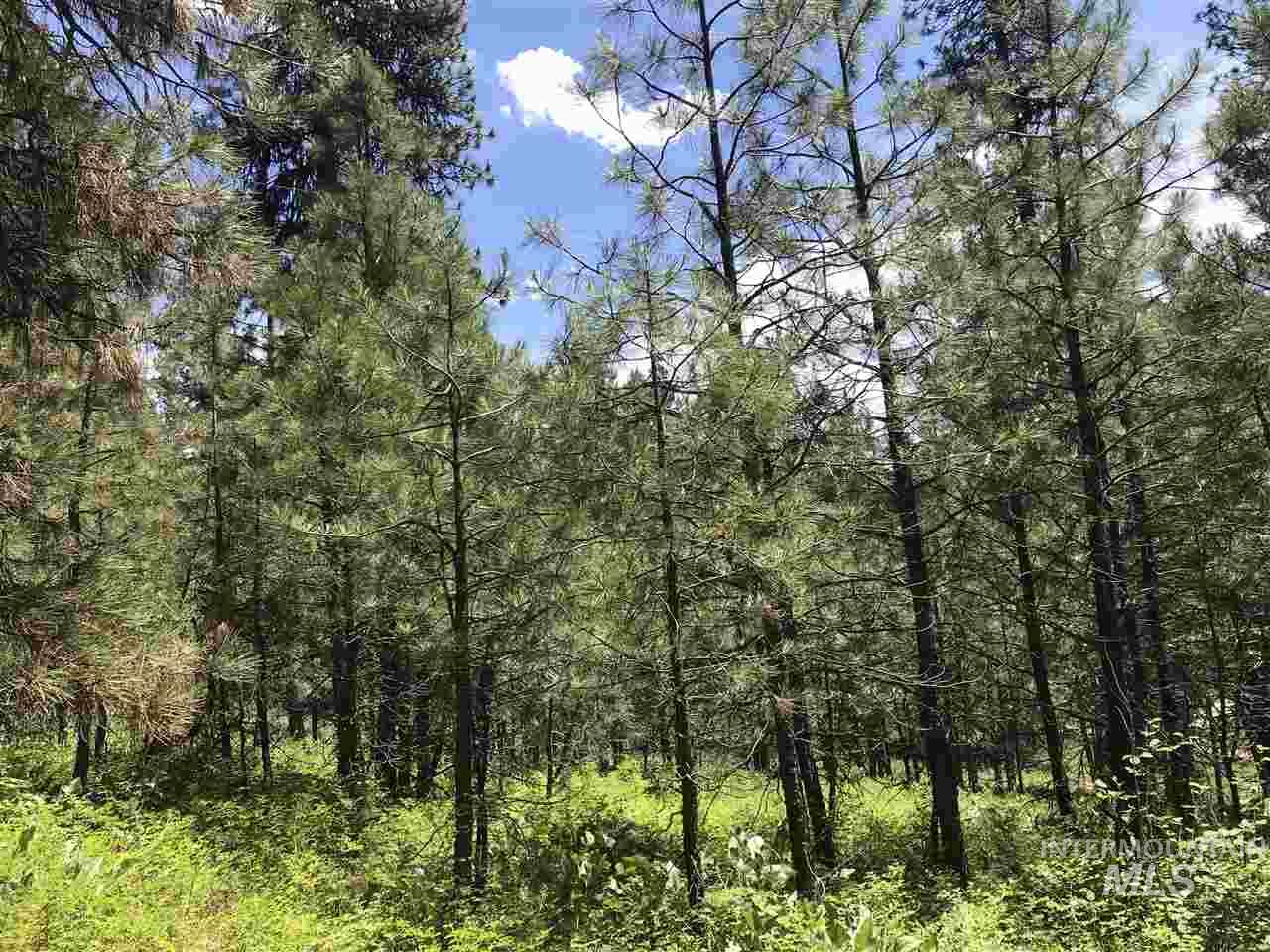 Lot 2 Card Creek, Casey Estates#3, Garden Valley, Idaho 83622, Land For Sale, Price $294,000, 98977405