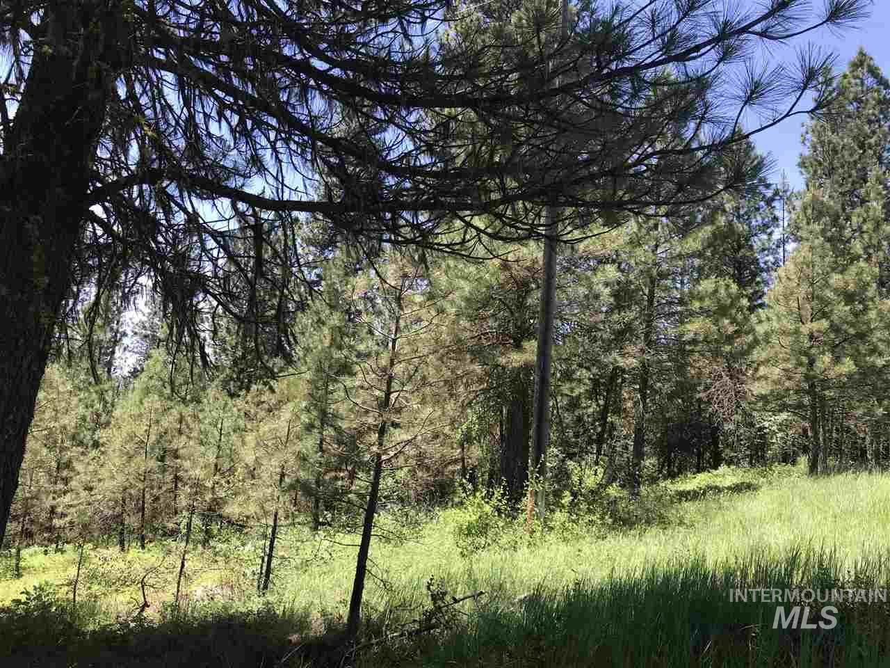 Lot 2 Card Creek, Casey Estates#3, Garden Valley, Idaho 83622, Land For Sale, Price $294,000, 98977405