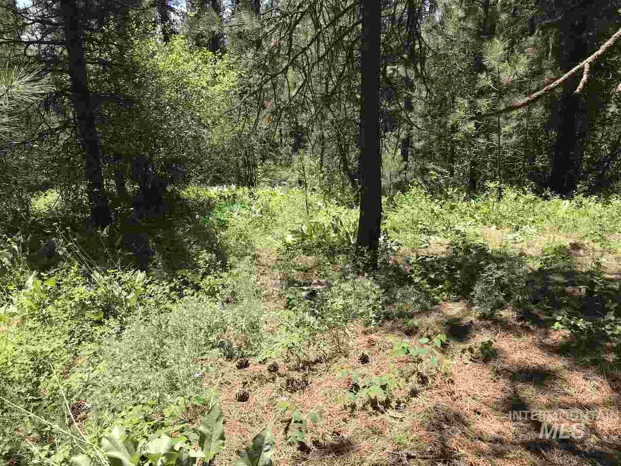 Lot 2 Card Creek, Casey Estates#3, Garden Valley, Idaho 83622, Land For Sale, Price $294,000, 98977405