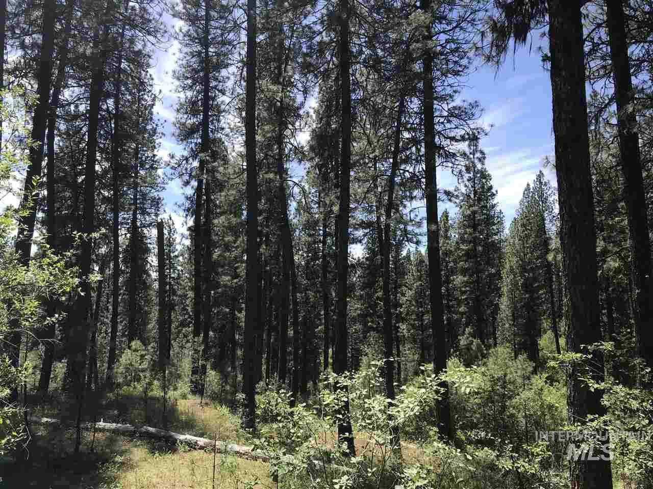 Lot 2 Card Creek, Casey Estates#3, Garden Valley, Idaho 83622, Land For Sale, Price $294,000, 98977405