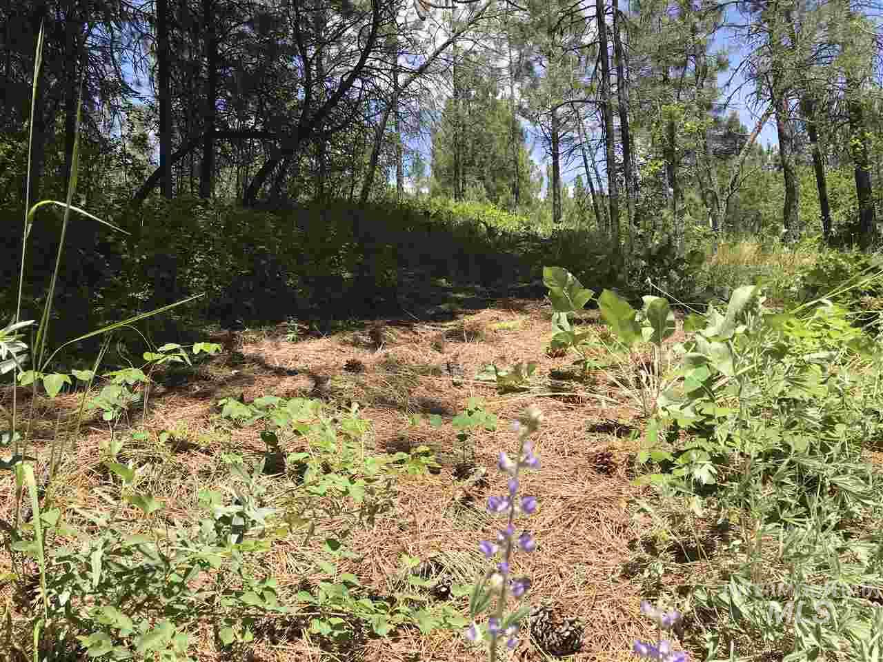 Lot 2 Card Creek, Casey Estates#3, Garden Valley, Idaho 83622, Land For Sale, Price $294,000, 98977405