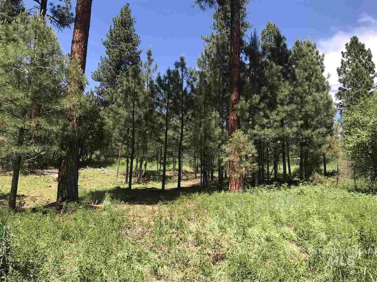 Lot 2 Card Creek, Casey Estates#3, Garden Valley, Idaho 83622, Land For Sale, Price $294,000, 98977405