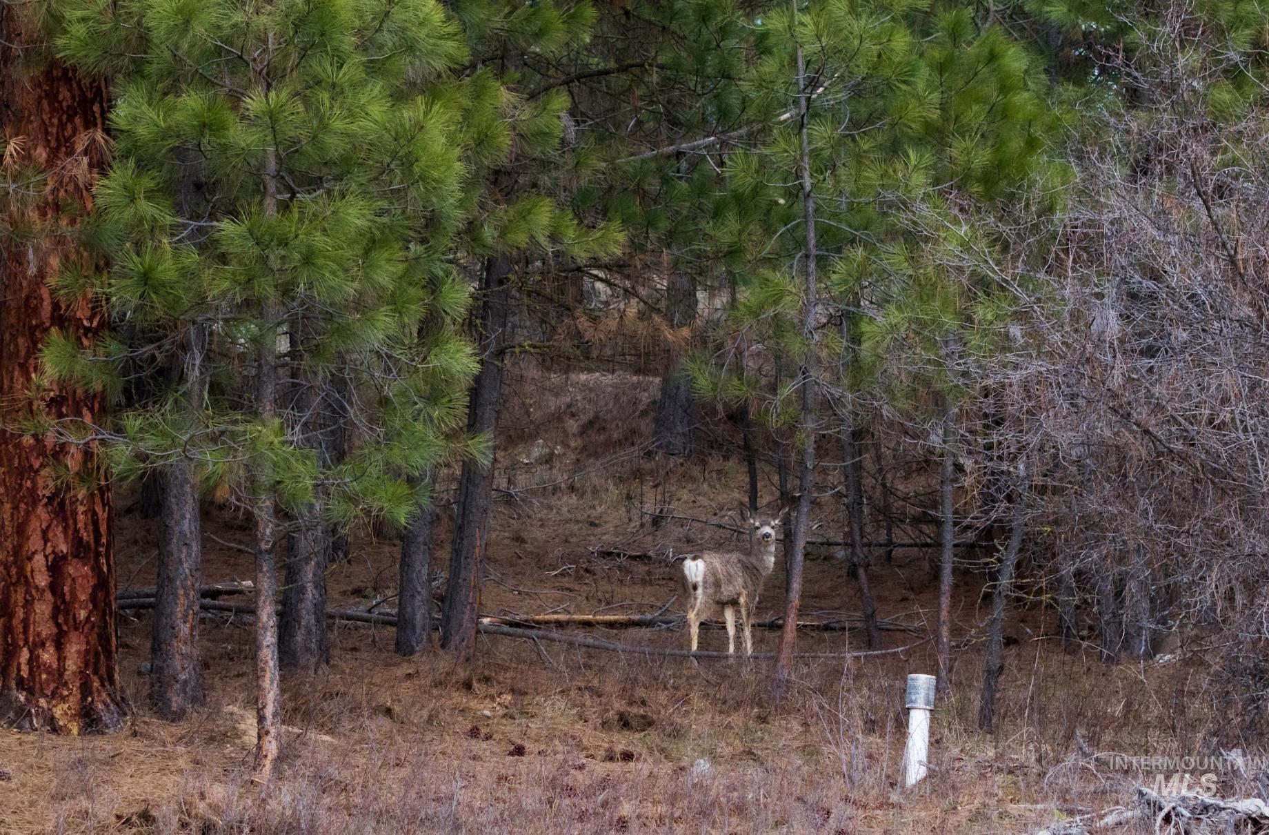 Lot 2 Card Creek, Casey Estates#3, Garden Valley, Idaho 83622, Land For Sale, Price $294,000, 98977405