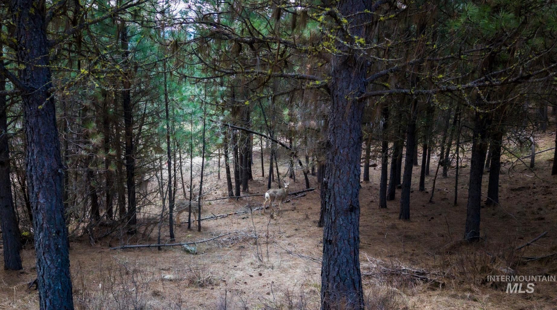 Lot 2 Card Creek, Casey Estates#3, Garden Valley, Idaho 83622, Land For Sale, Price $294,000, 98977405