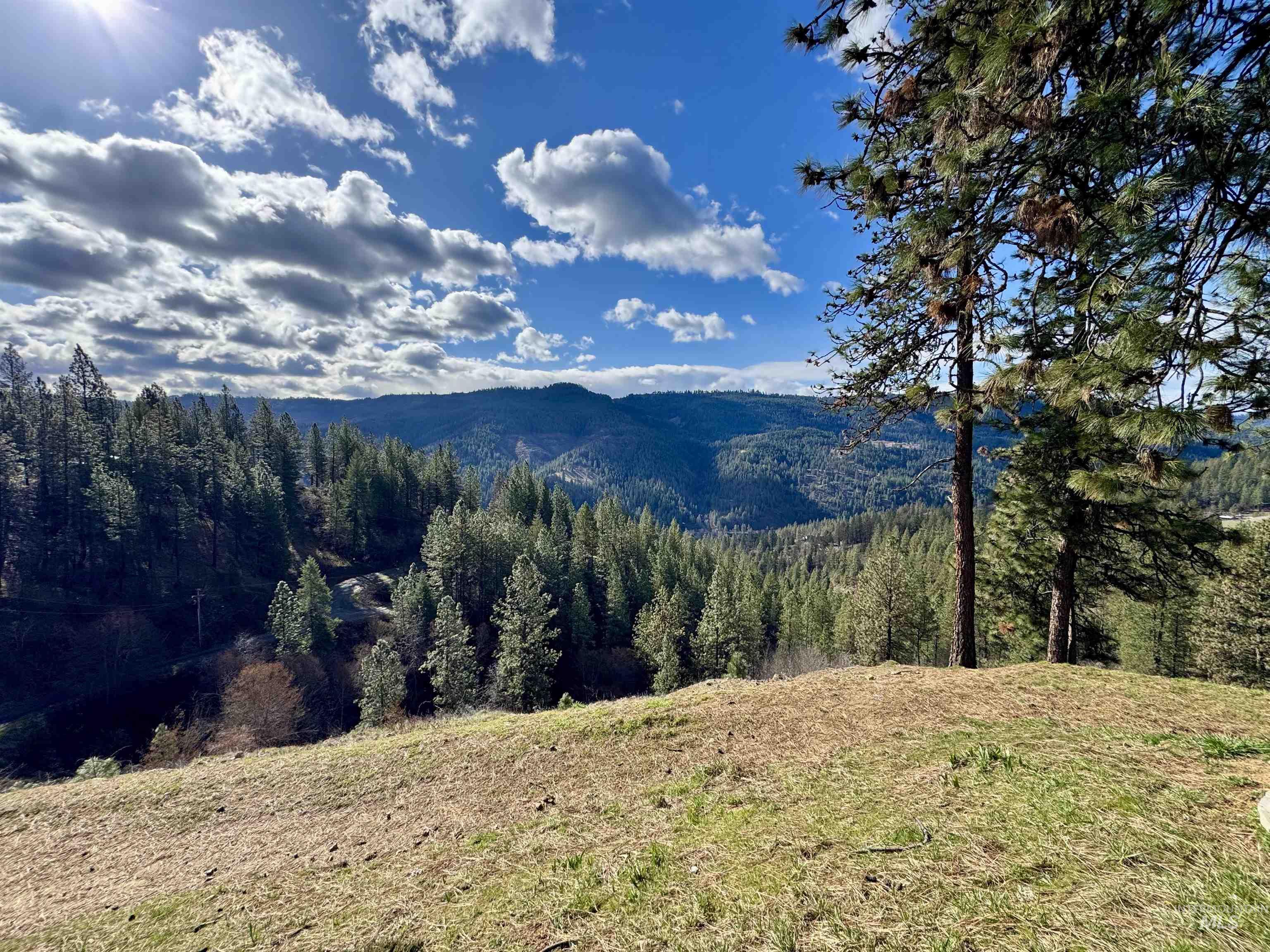 1320 Whitetail Dr, Ahsahka, Idaho 83520, 3 Bedrooms, 2 Bathrooms, Residential For Sale, Price $459,900, 98977418