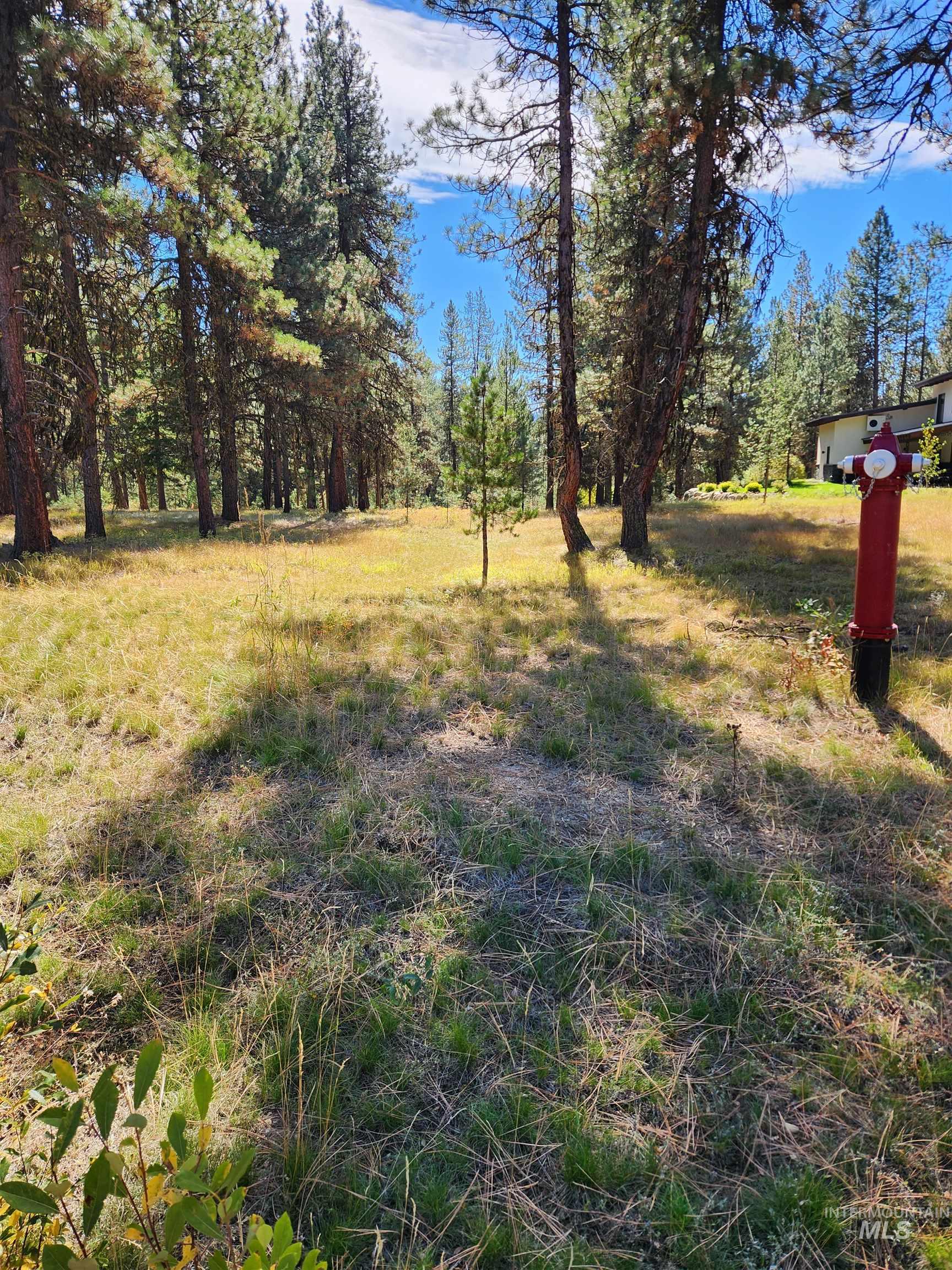 15 Vernon Ct, McCall, Idaho 83638-1000, Land For Sale, Price $179,999, 98977439