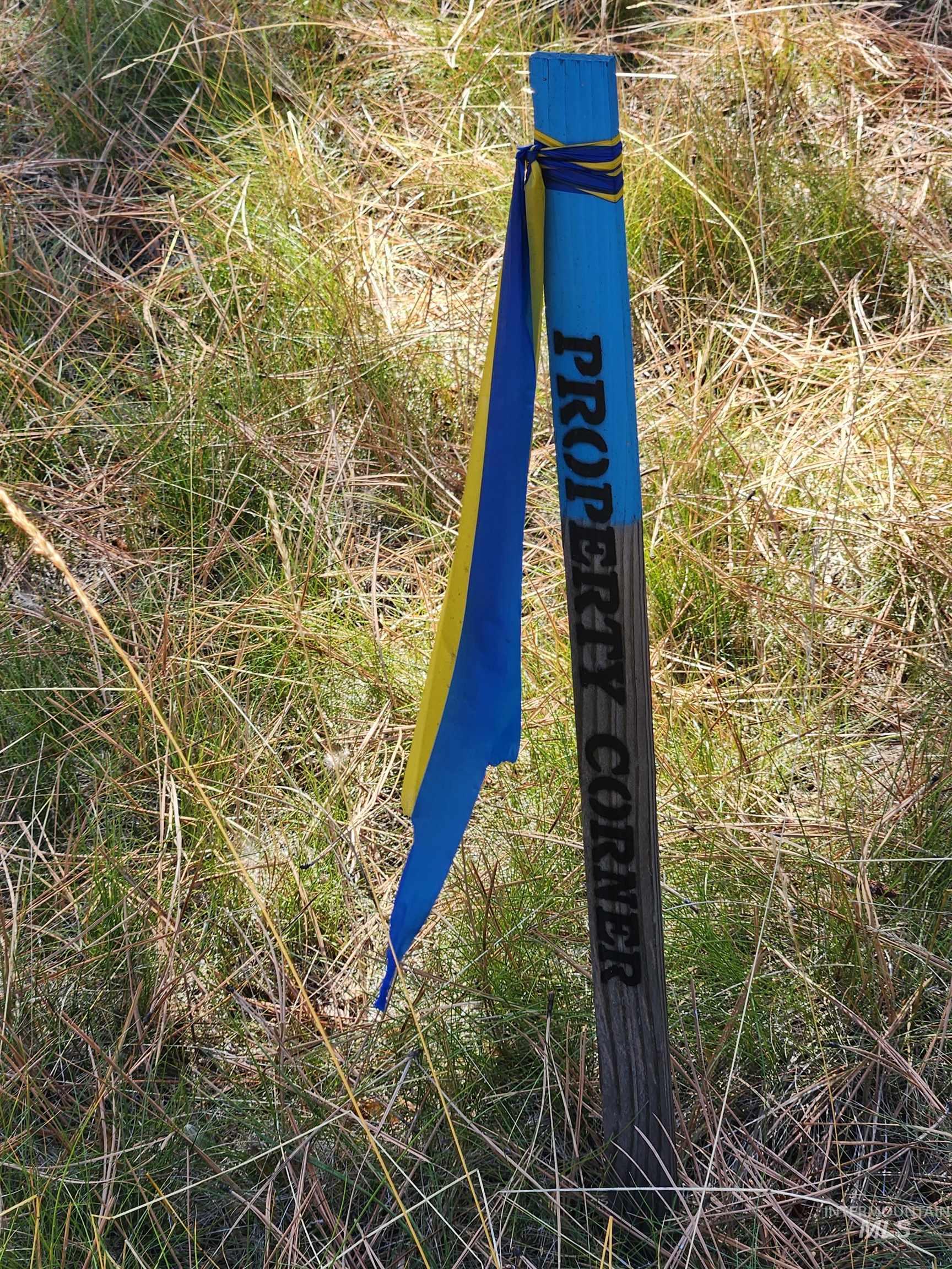 15 Vernon Ct, McCall, Idaho 83638-1000, Land For Sale, Price $179,999, 98977439