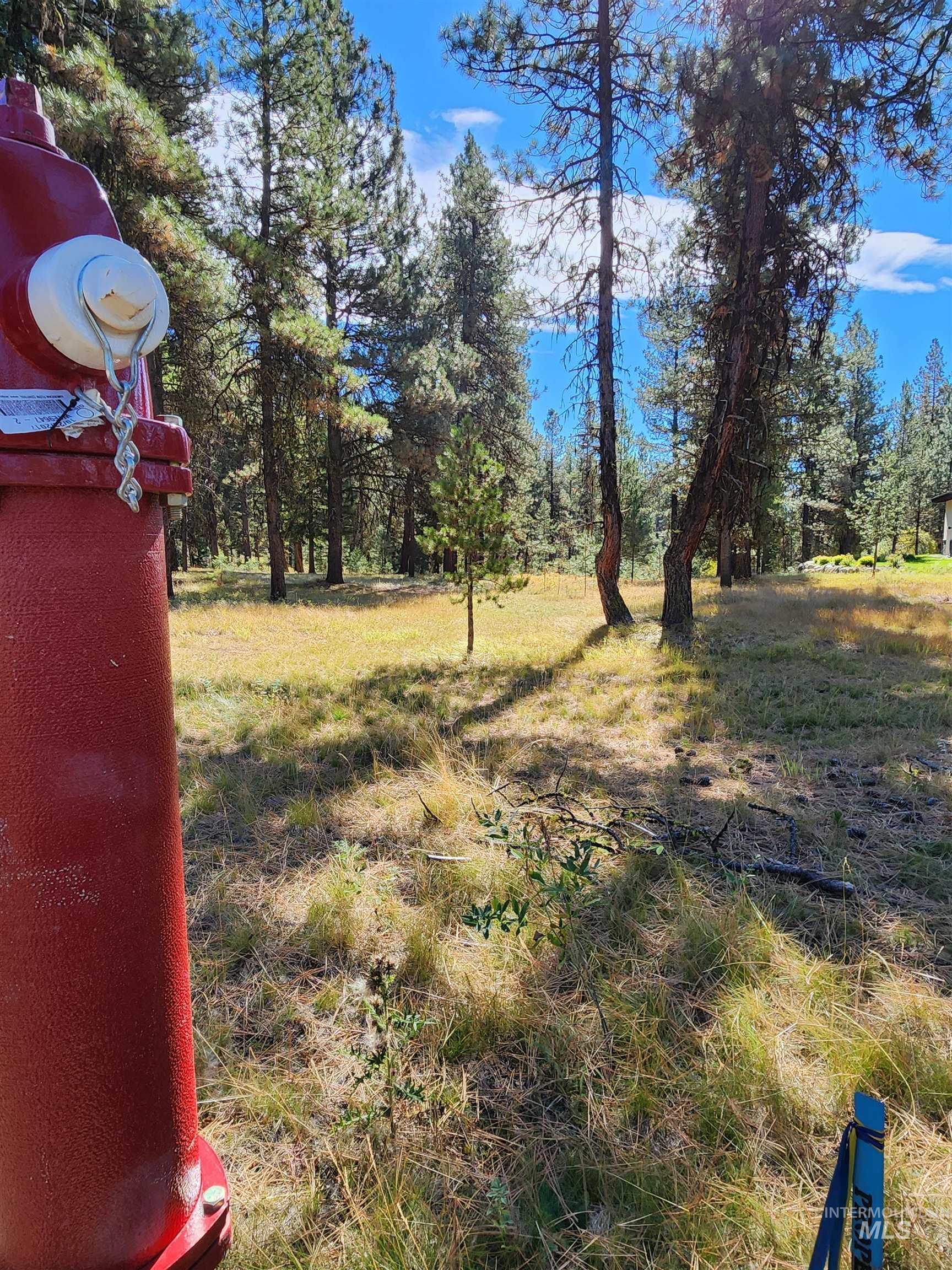 15 Vernon Ct, McCall, Idaho 83638-1000, Land For Sale, Price $179,999, 98977439