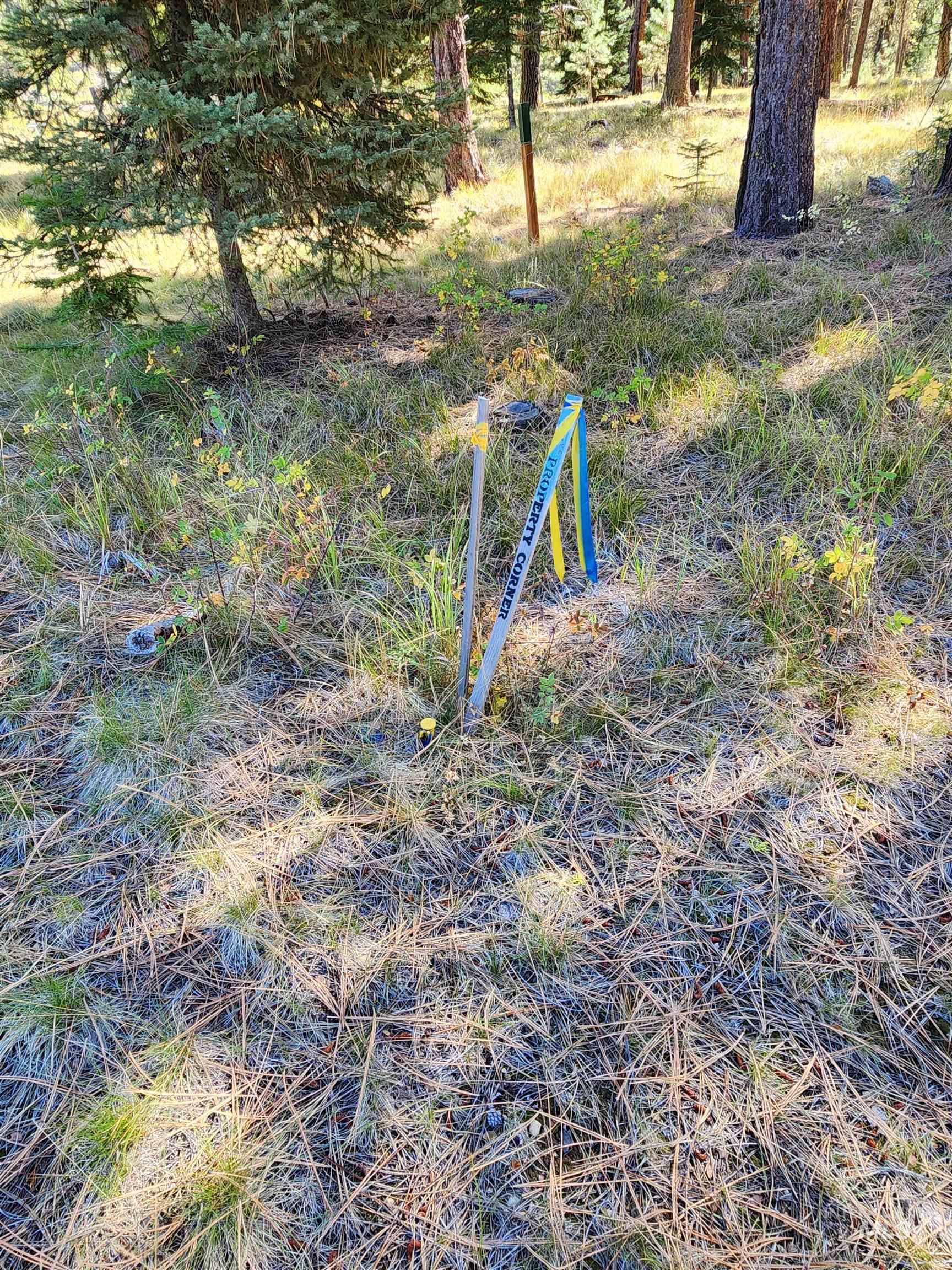 15 Vernon Ct, McCall, Idaho 83638-1000, Land For Sale, Price $179,999, 98977439