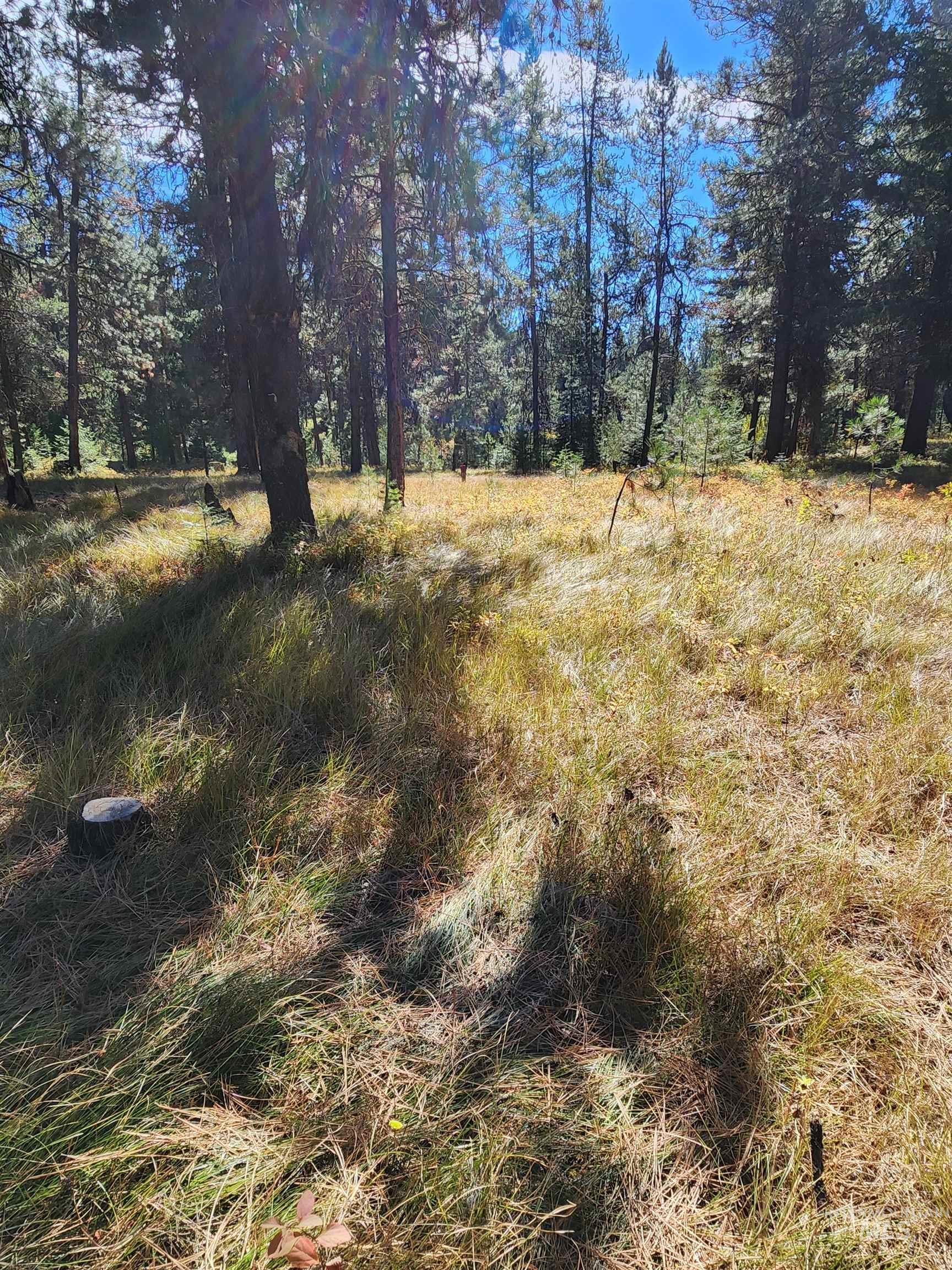 15 Vernon Ct, McCall, Idaho 83638-1000, Land For Sale, Price $179,999, 98977439