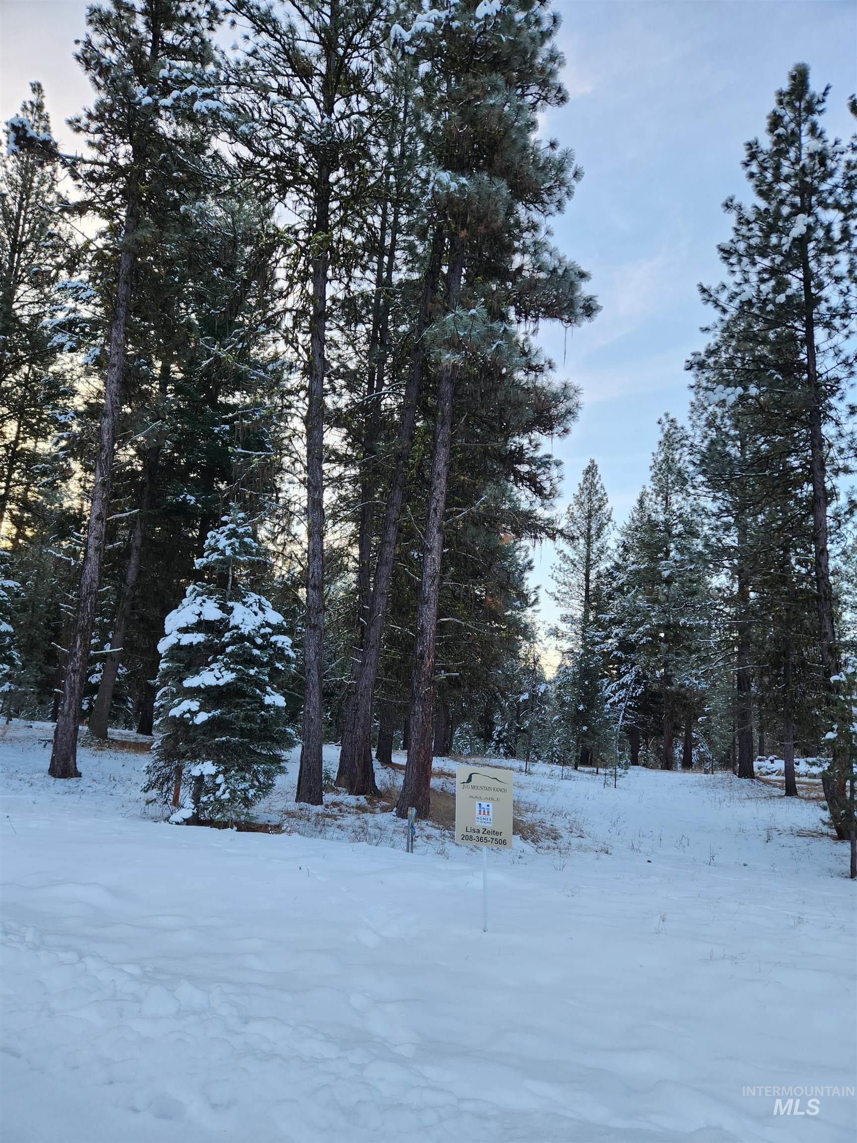 15 Vernon Ct, McCall, Idaho 83638-1000, Land For Sale, Price $179,999, 98977439