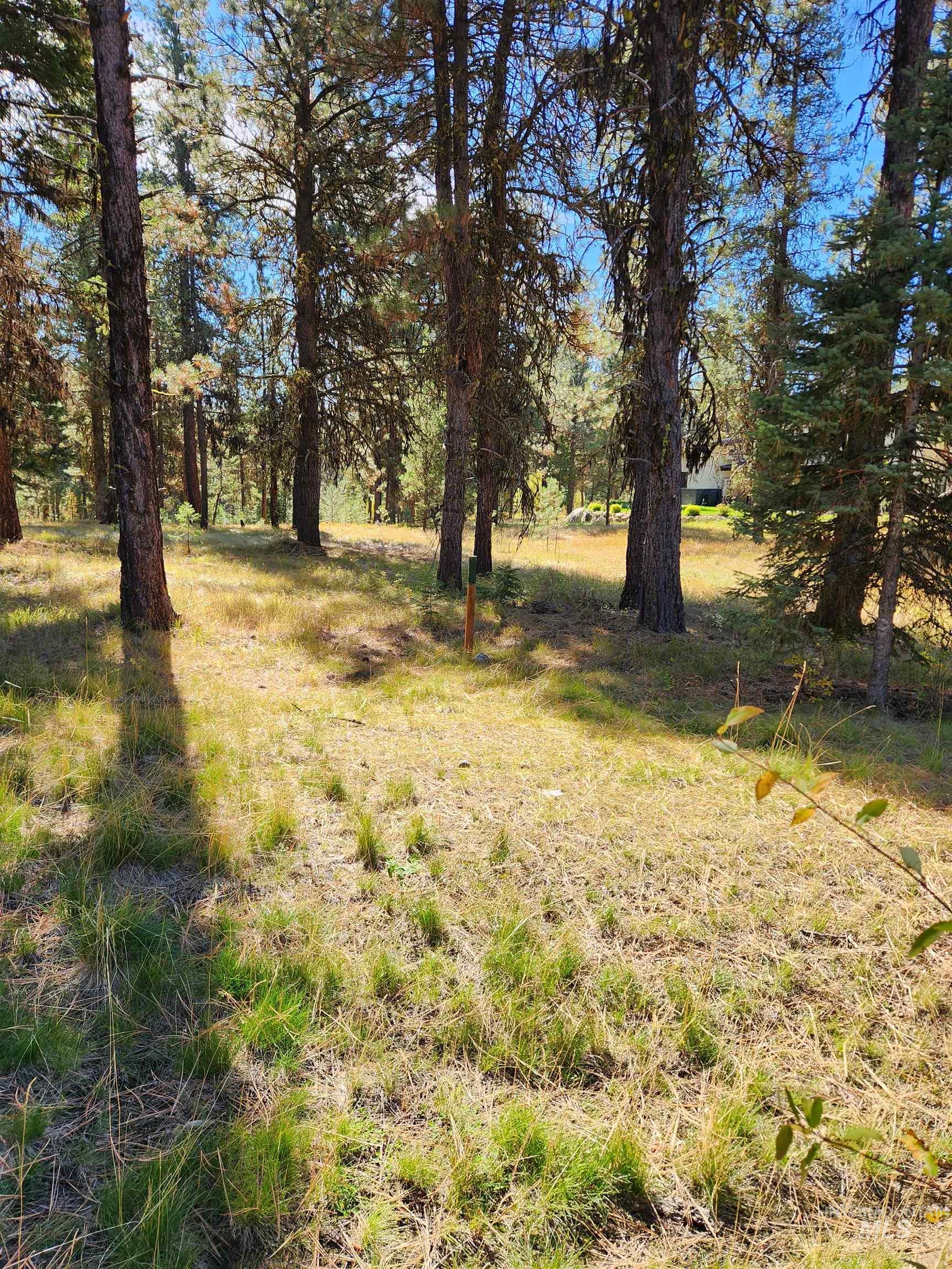 15 Vernon Ct, McCall, Idaho 83638-1000, Land For Sale, Price $179,999, 98977439