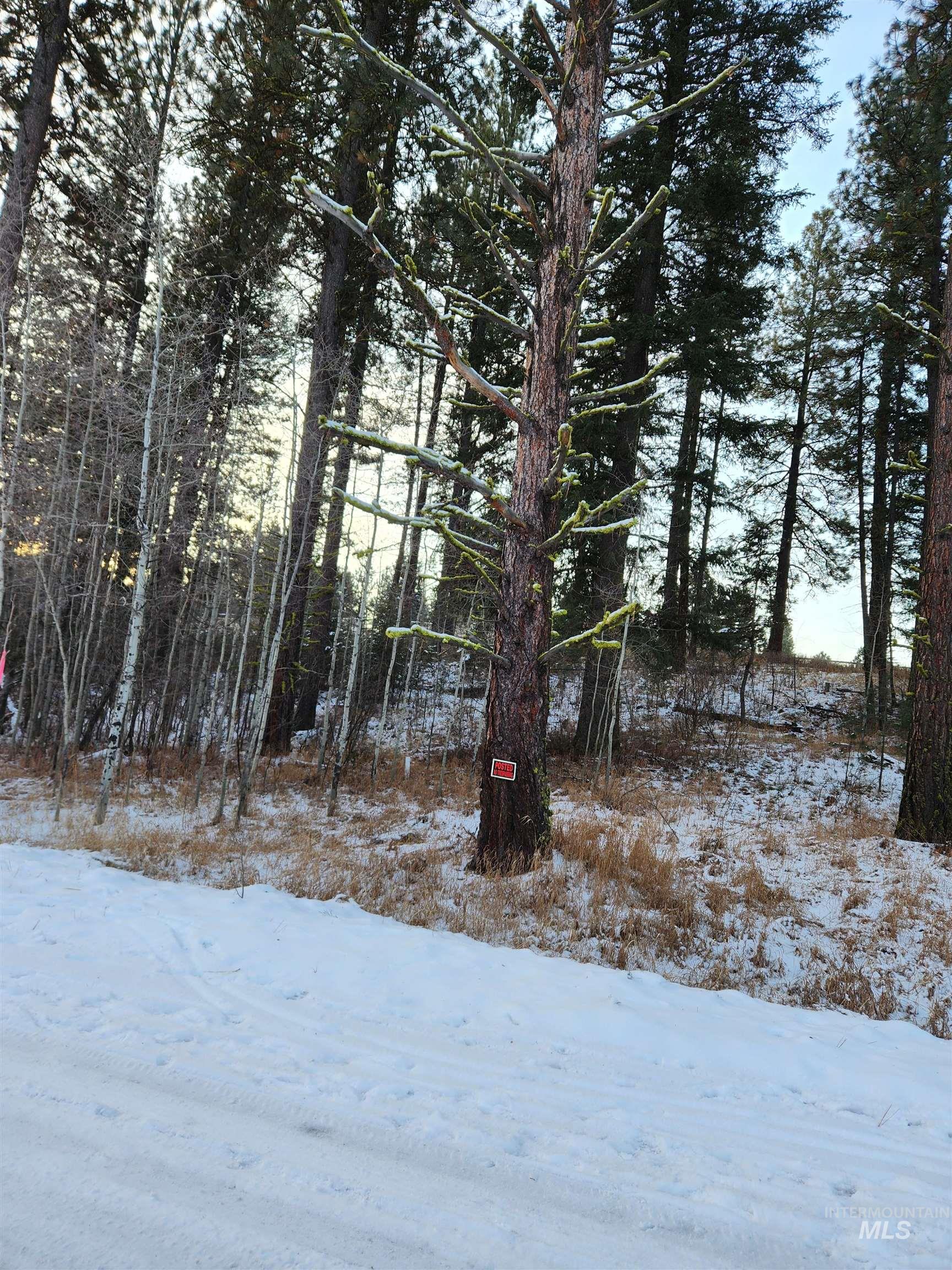 15 Vernon Ct, McCall, Idaho 83638-1000, Land For Sale, Price $179,999, 98977439