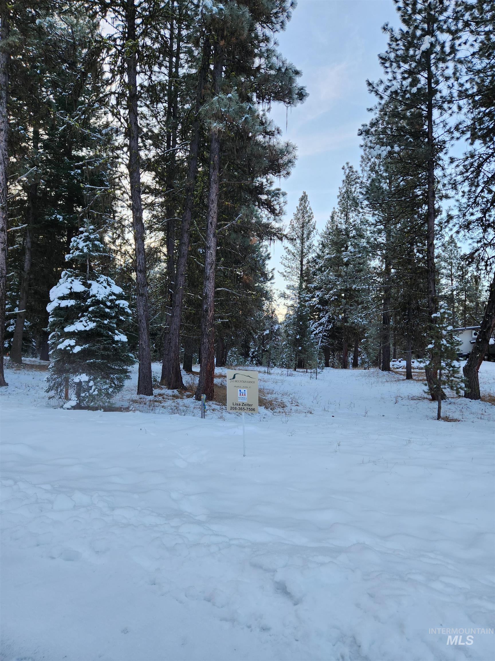 15 Vernon Ct, McCall, Idaho 83638-1000, Land For Sale, Price $179,999, 98977439