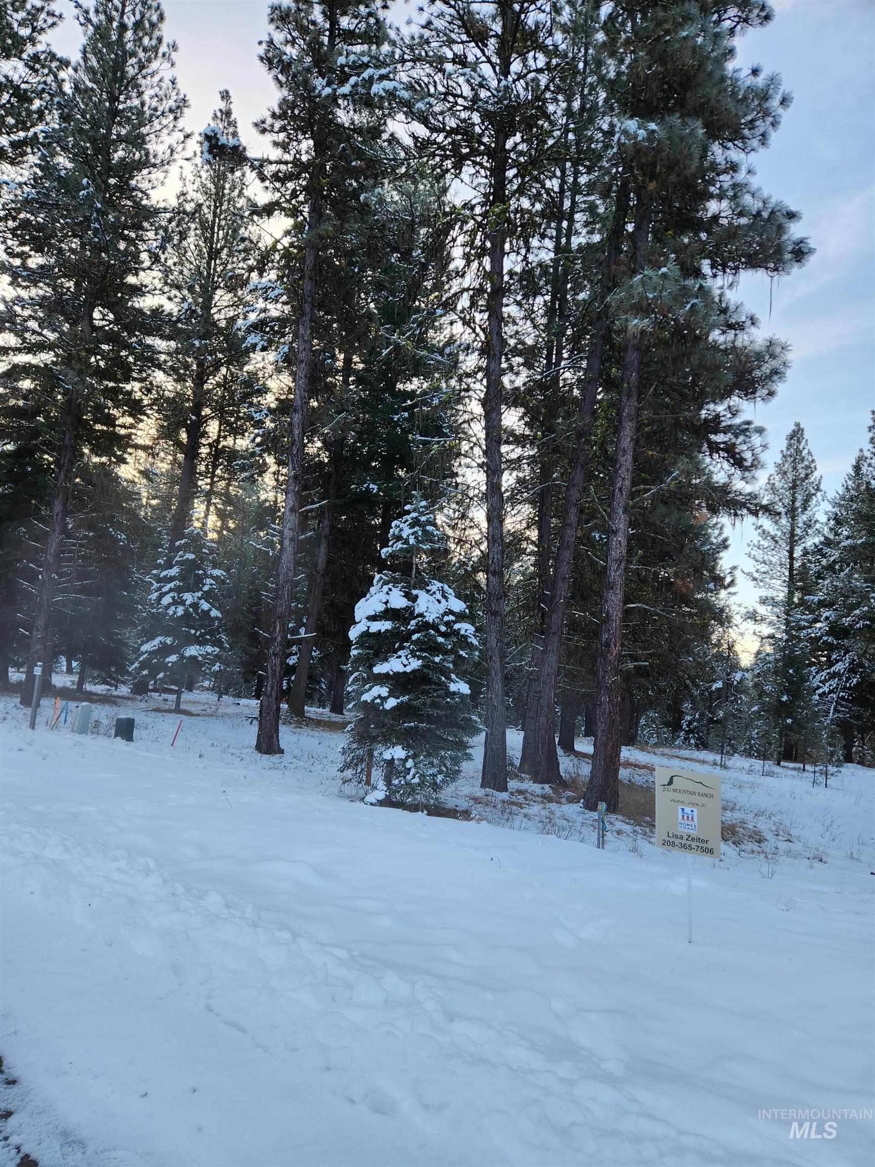 15 Vernon Ct, McCall, Idaho 83638-1000, Land For Sale, Price $179,999, 98977439