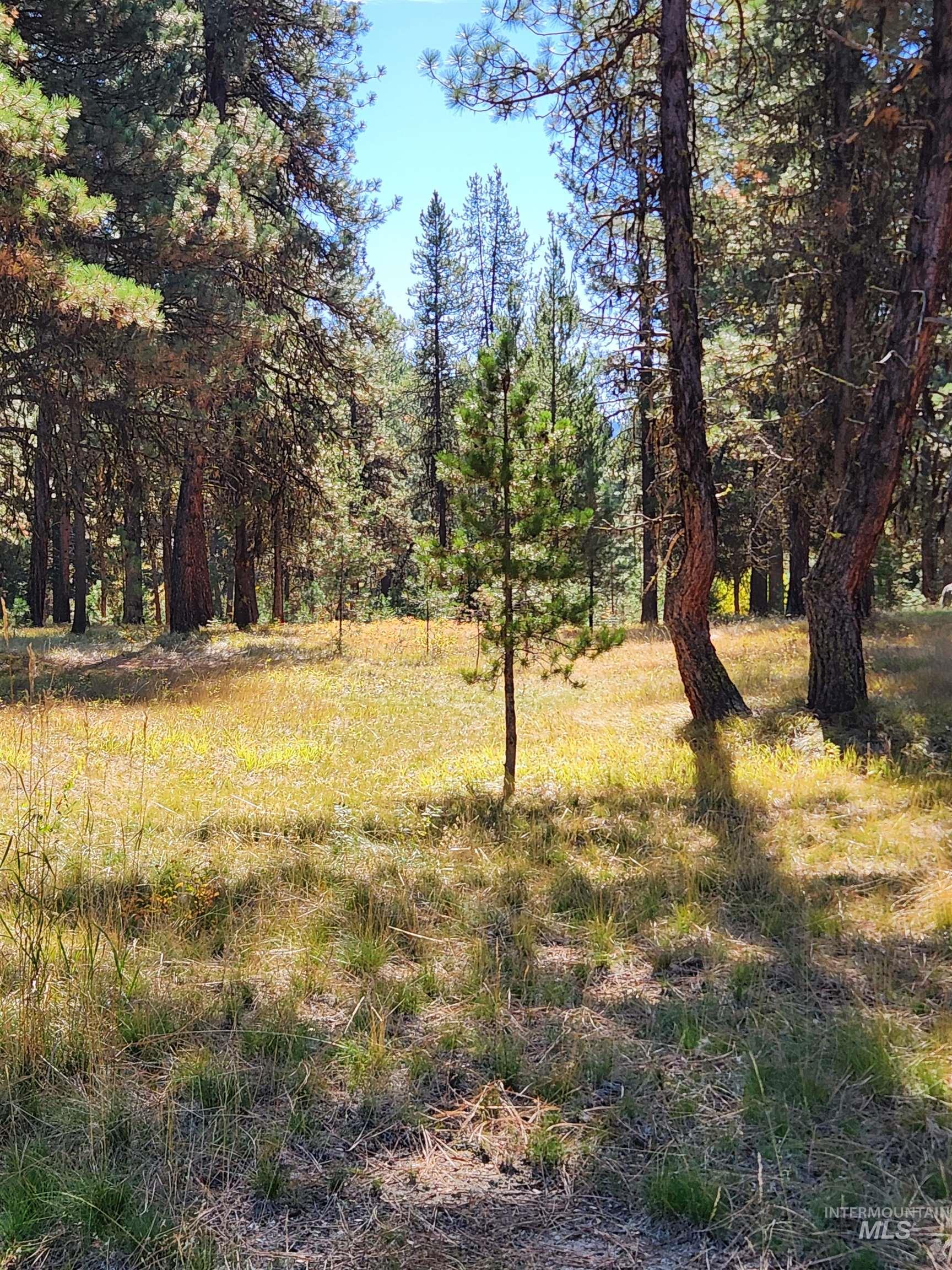 15 Vernon Ct, McCall, Idaho 83638-1000, Land For Sale, Price $179,999, 98977439