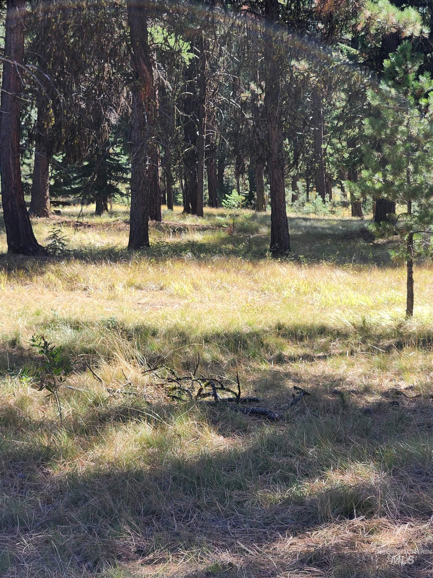 15 Vernon Ct, McCall, Idaho 83638-1000, Land For Sale, Price $179,999, 98977439