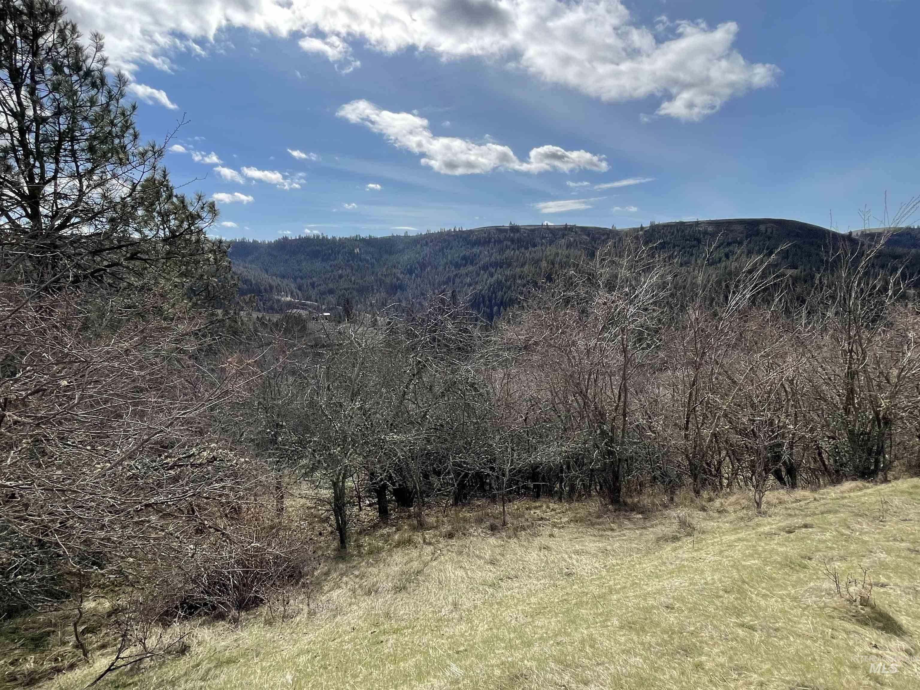 NKA Redemption Lane, Kendrick, Idaho 83537, Land For Sale, Price $135,000, 98977444