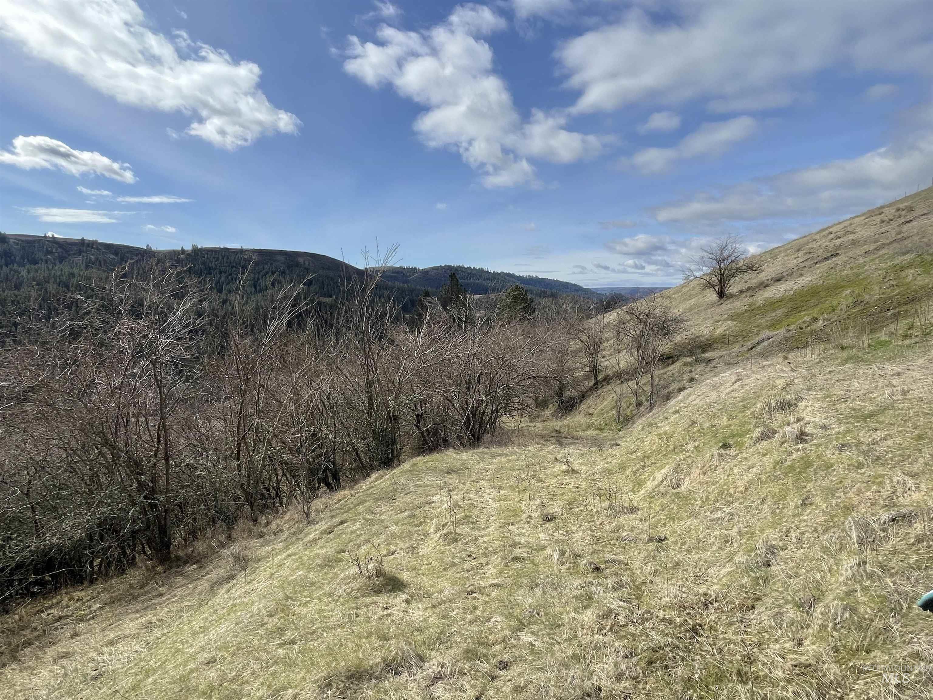 NKA Redemption Lane, Kendrick, Idaho 83537, Land For Sale, Price $135,000, 98977444