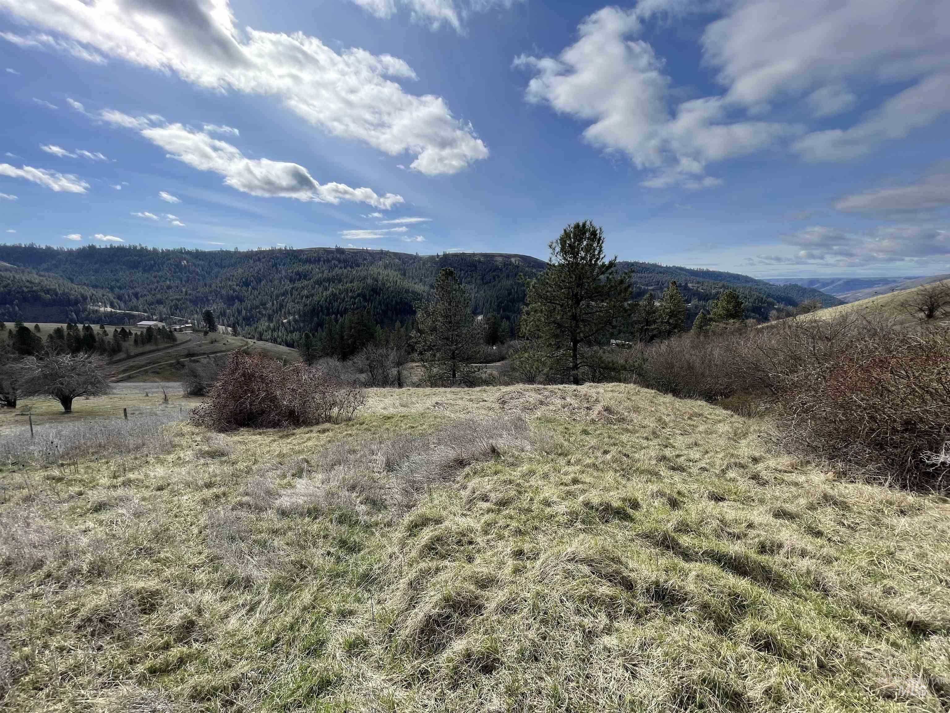 NKA Redemption Lane, Kendrick, Idaho 83537, Land For Sale, Price $135,000, 98977444