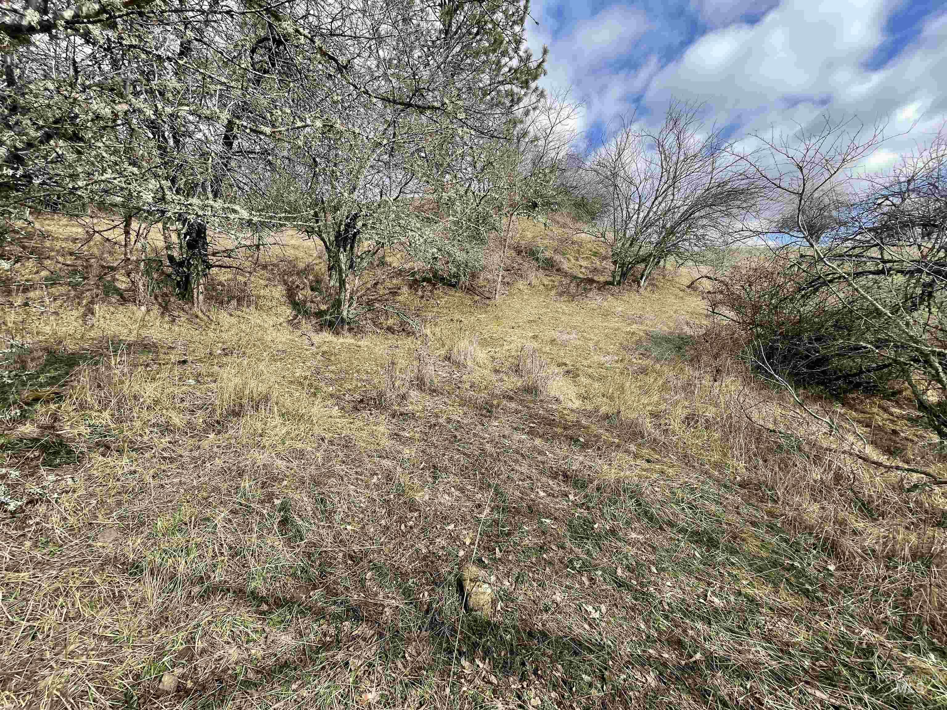 NKA Redemption Lane, Kendrick, Idaho 83537, Land For Sale, Price $135,000, 98977444