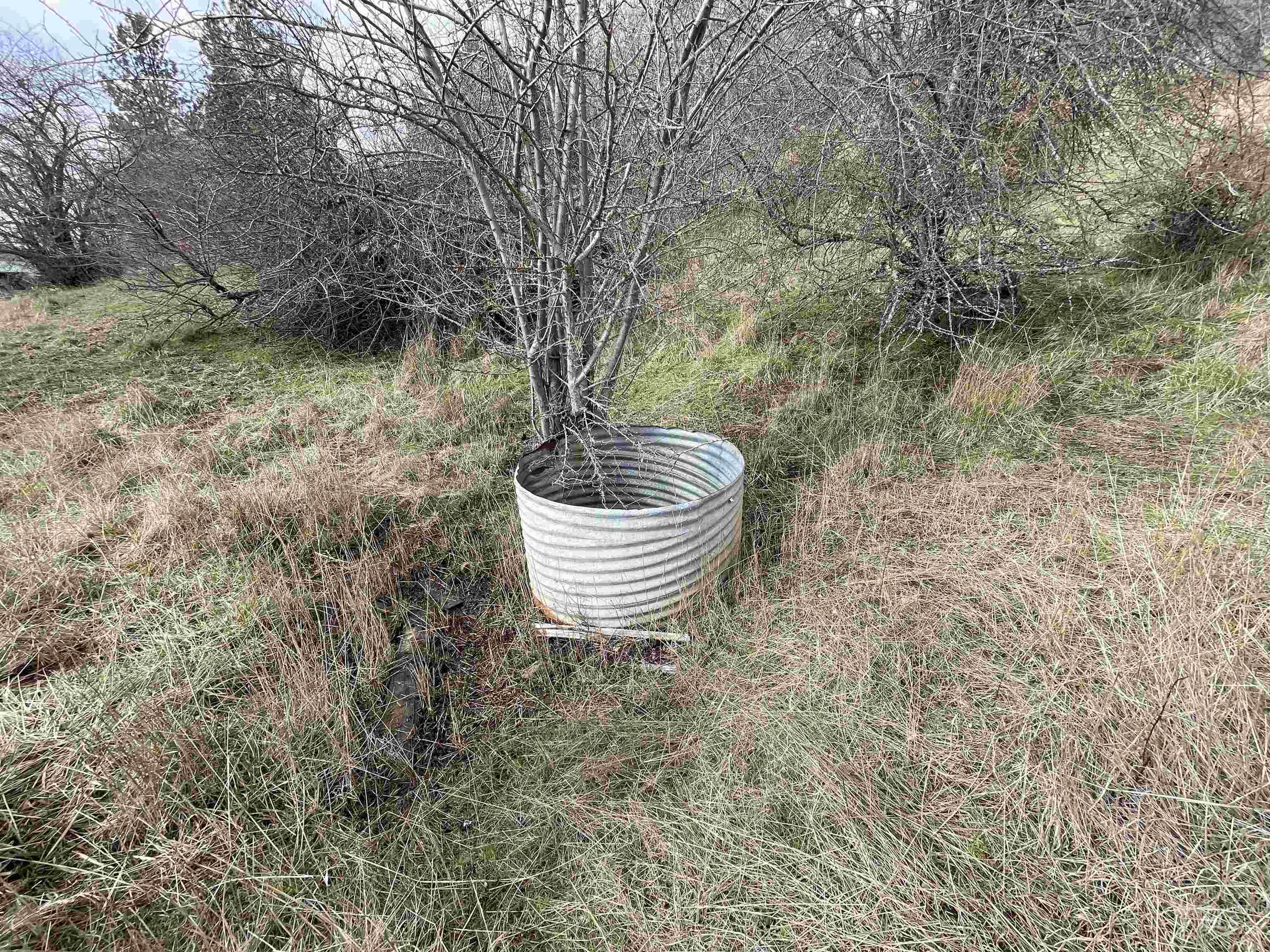 NKA Redemption Lane, Kendrick, Idaho 83537, Land For Sale, Price $135,000, 98977444