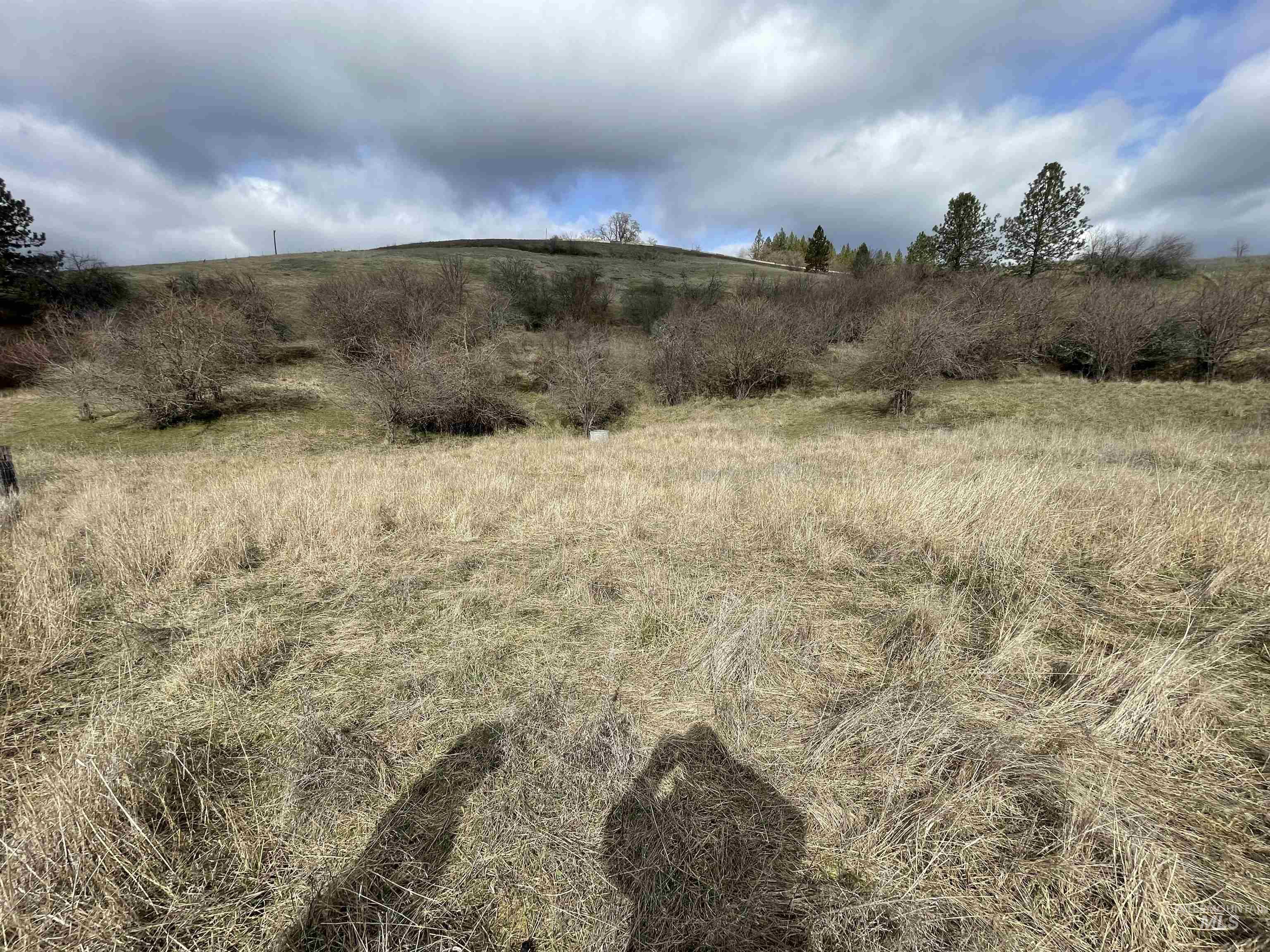 NKA Redemption Lane, Kendrick, Idaho 83537, Land For Sale, Price $135,000, 98977444