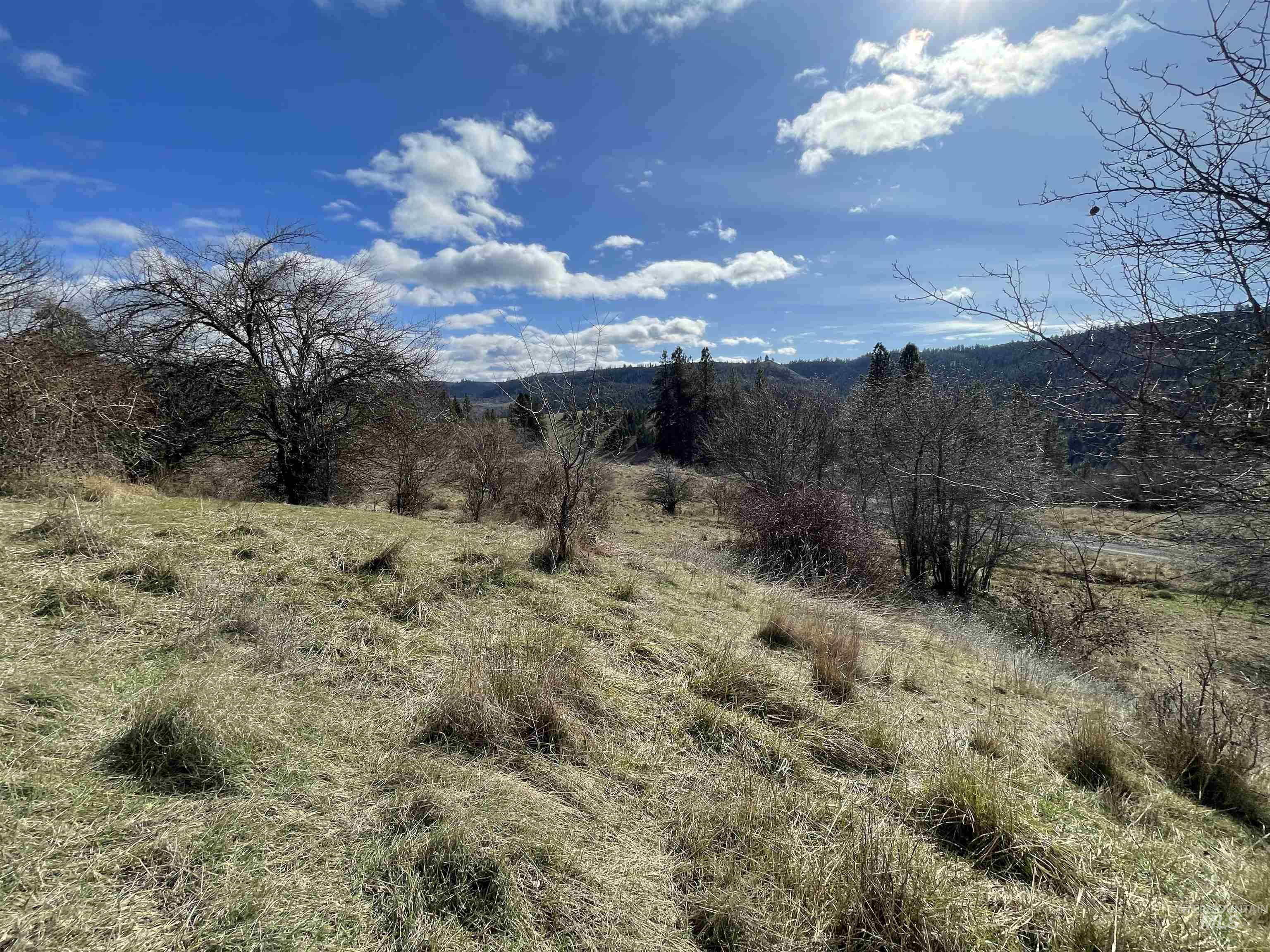 NKA Redemption Lane, Kendrick, Idaho 83537, Land For Sale, Price $135,000, 98977444