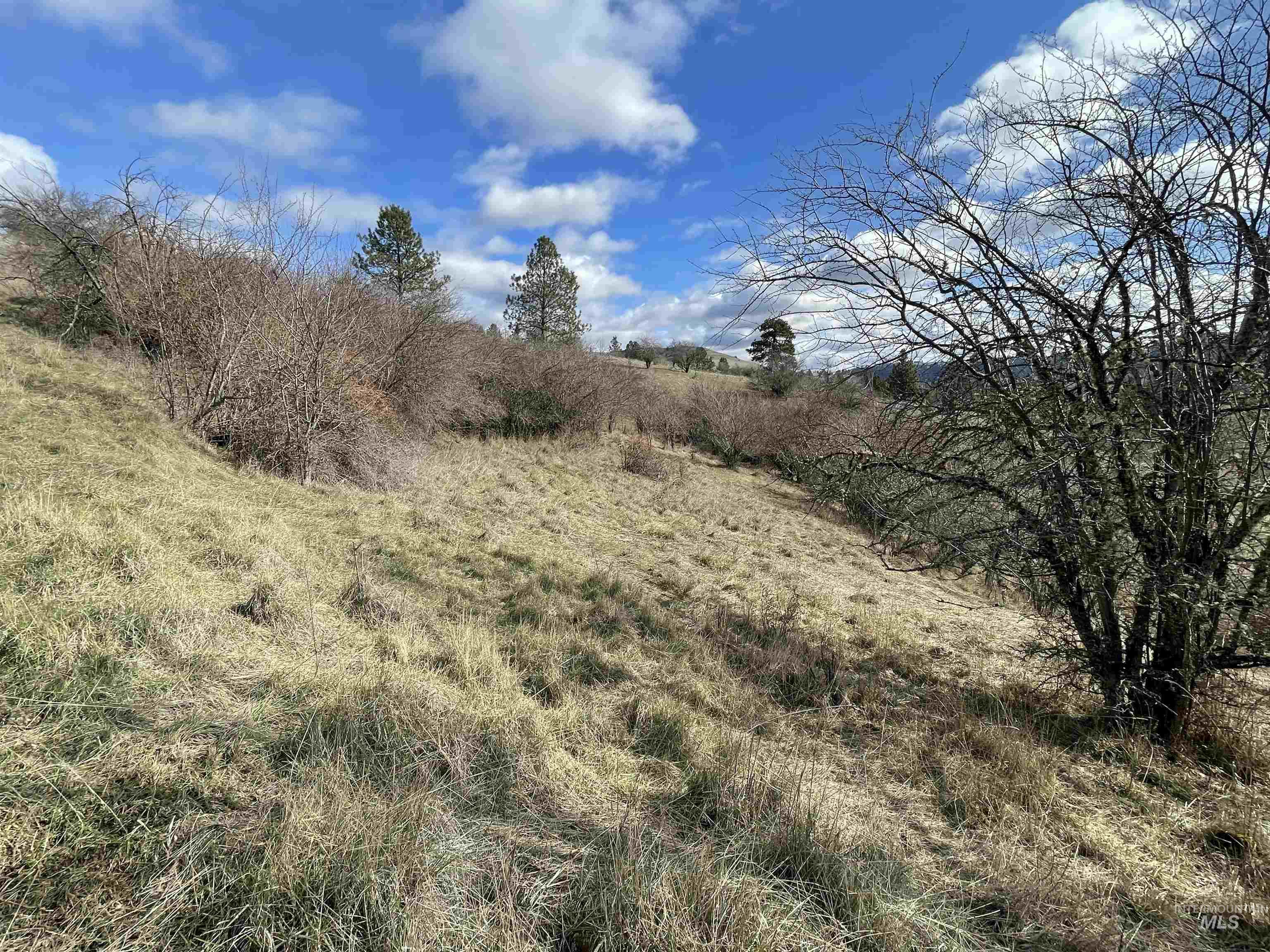 NKA Redemption Lane, Kendrick, Idaho 83537, Land For Sale, Price $135,000, 98977444