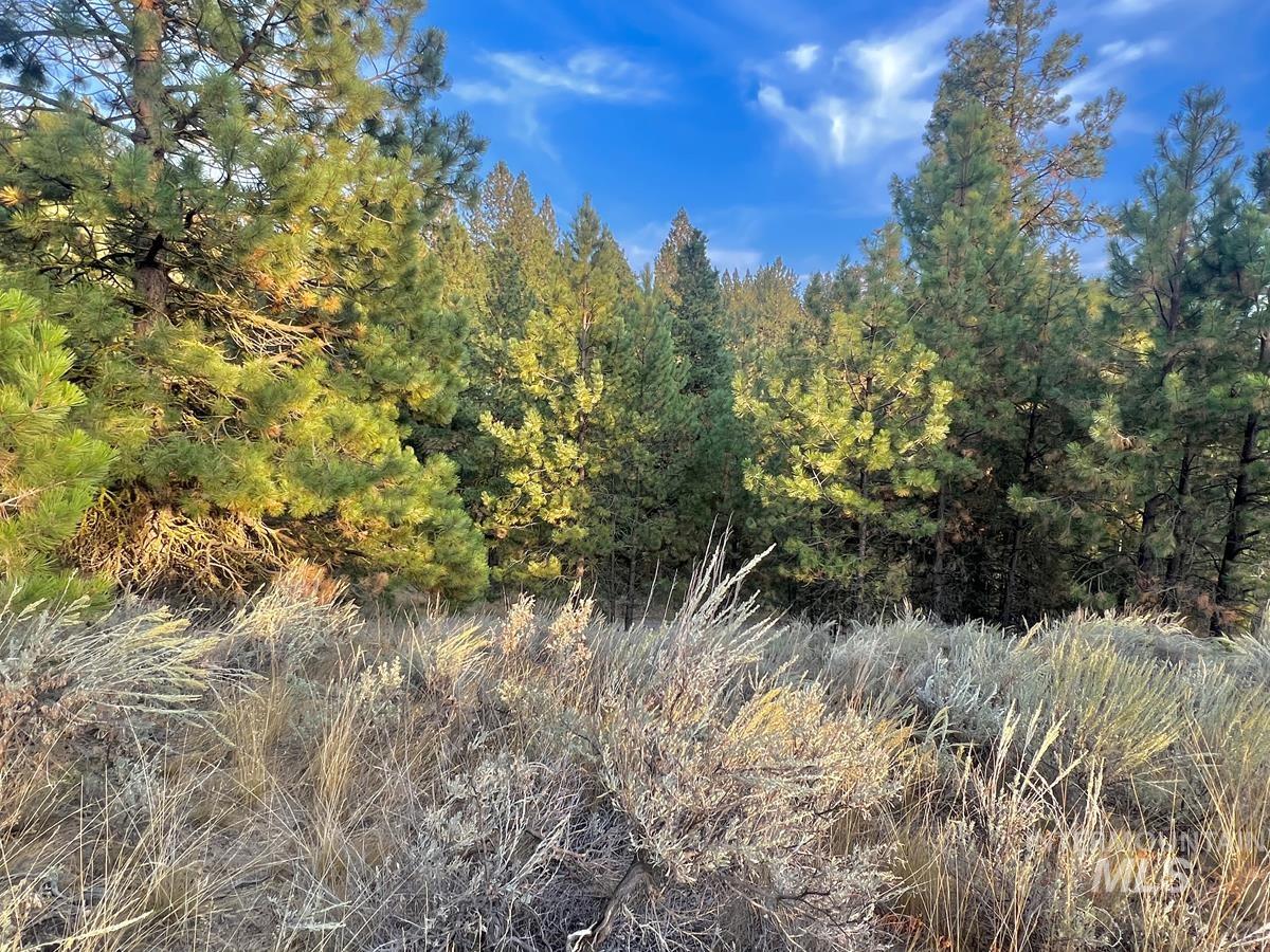 30 Four Seasons Drive, Cascade, Idaho 83611, Land For Sale, Price $150,000, 98977498