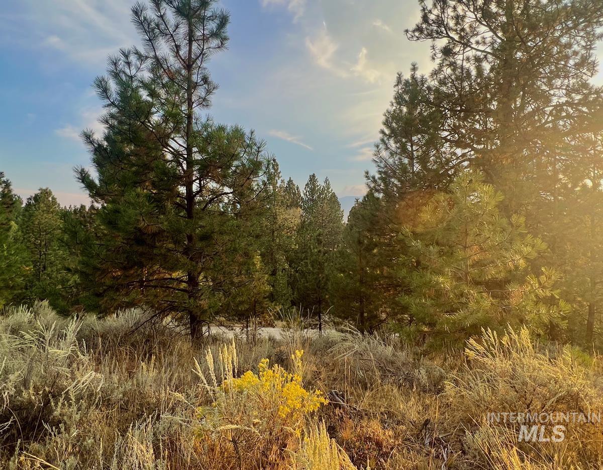 30 Four Seasons Drive, Cascade, Idaho 83611, Land For Sale, Price $150,000, 98977498