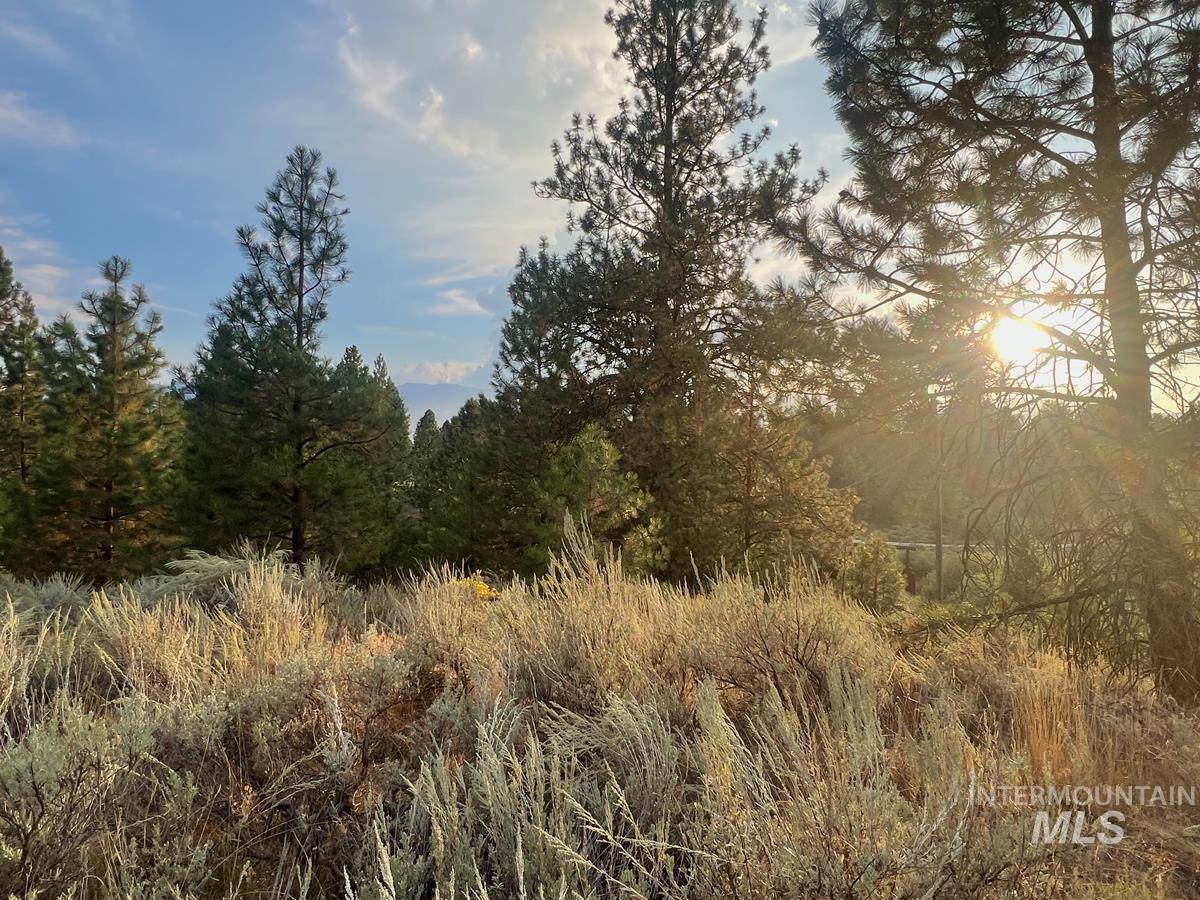 30 Four Seasons Drive, Cascade, Idaho 83611, Land For Sale, Price $150,000, 98977498